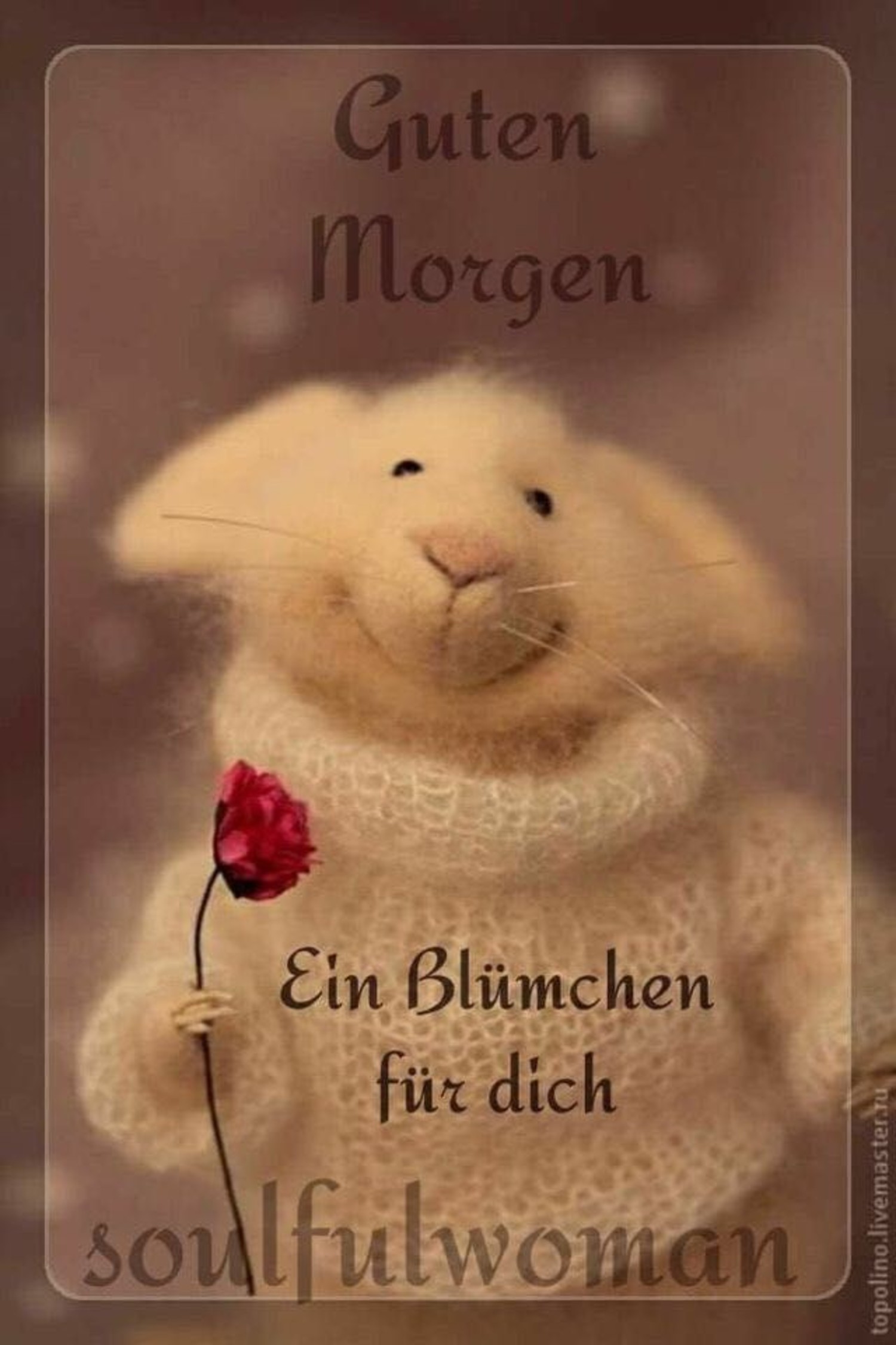 Guten Morgen welt 23