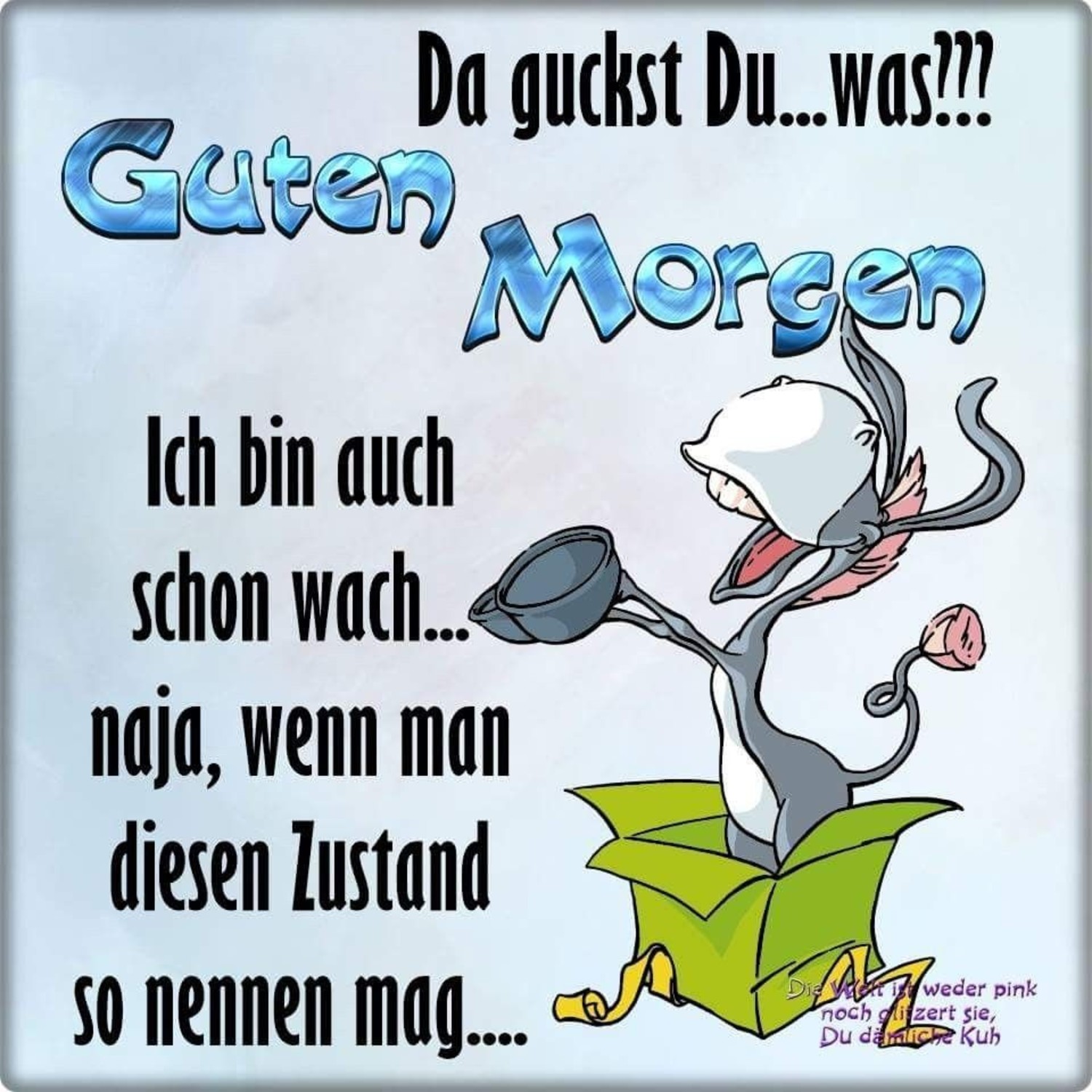 Guten Morgen welt 233