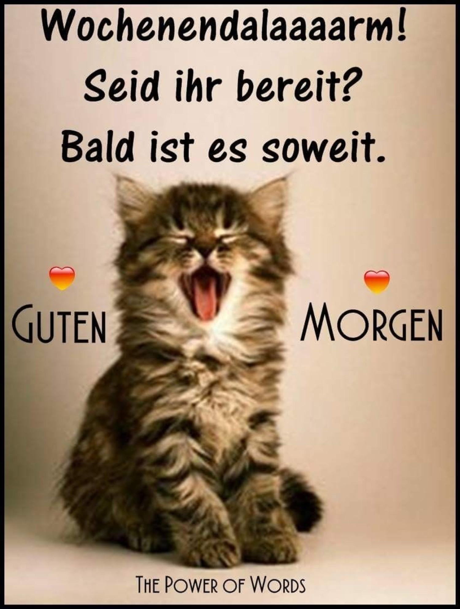 Guten Morgen welt 237