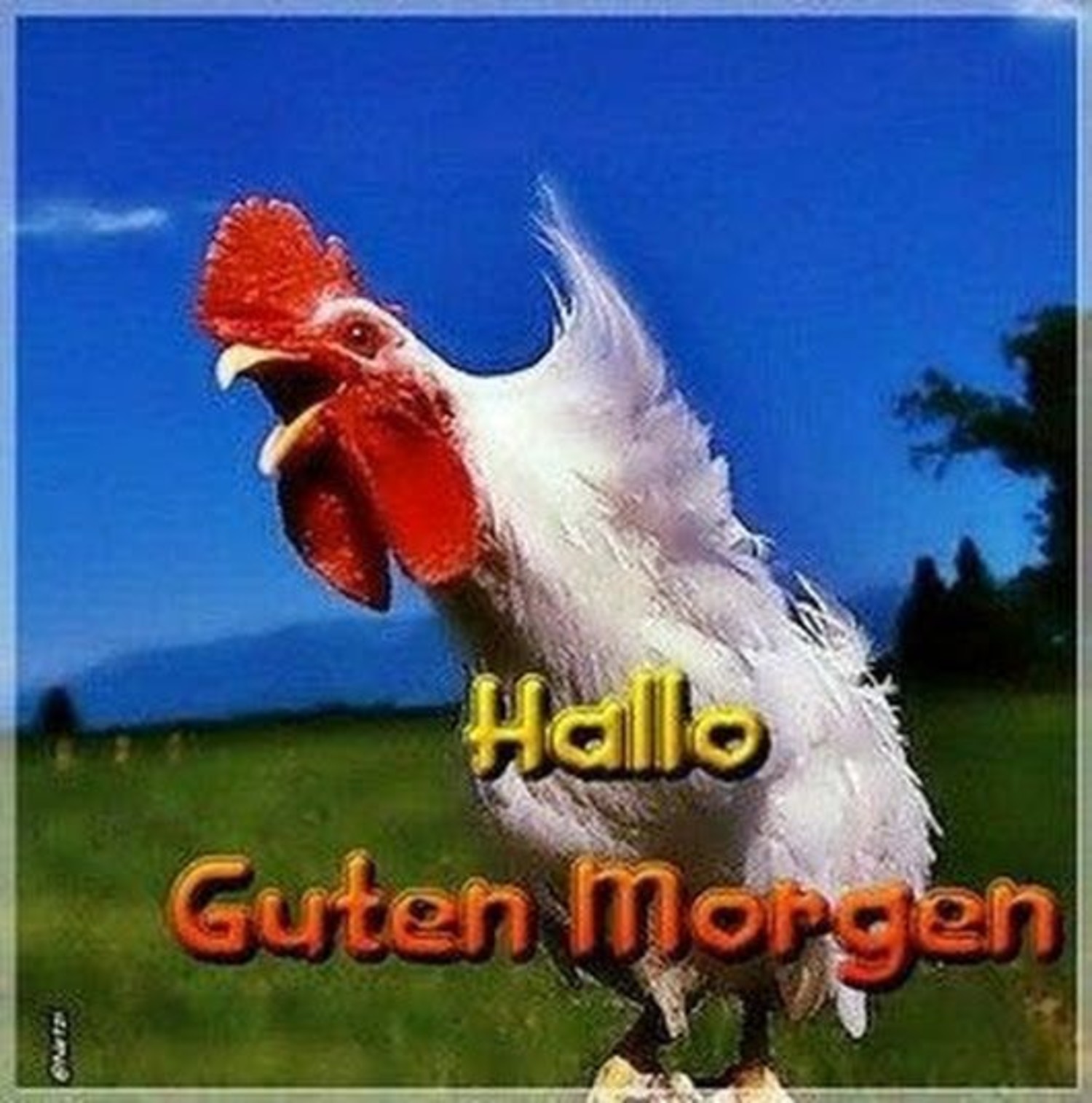 Hallo Guten Morgen 127