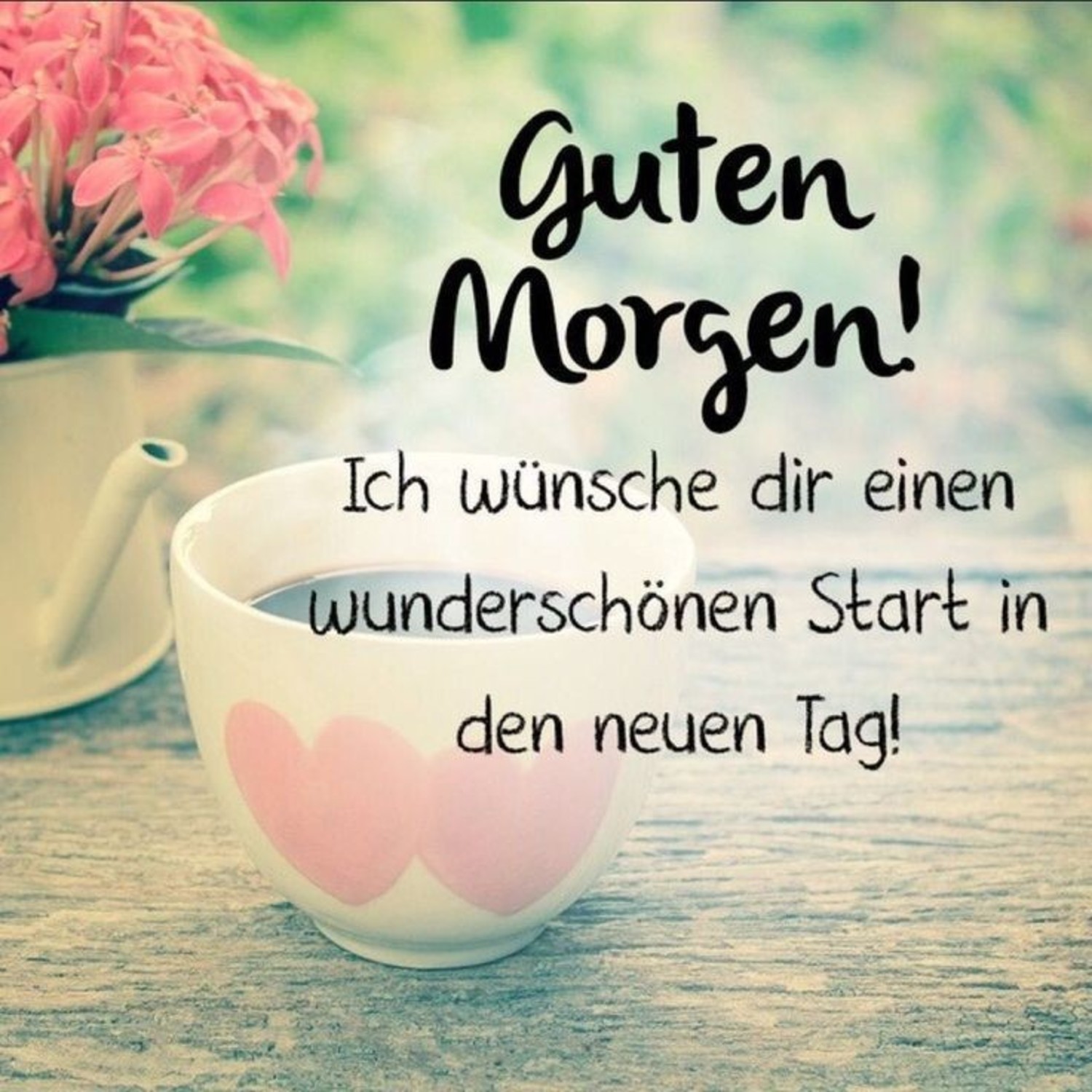 Jappy Bilder Guten Morgen 217