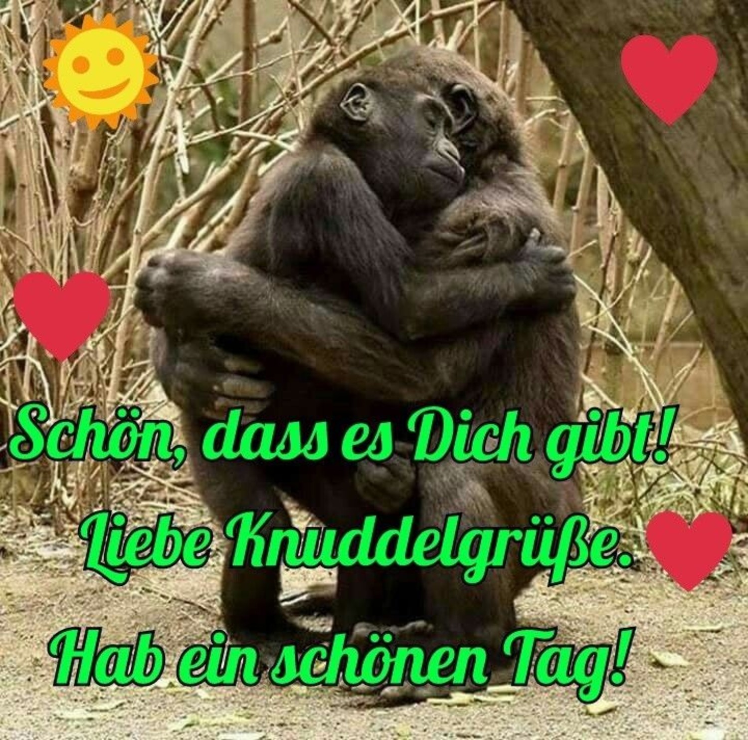 Jappy Bilder Guten Morgen 22