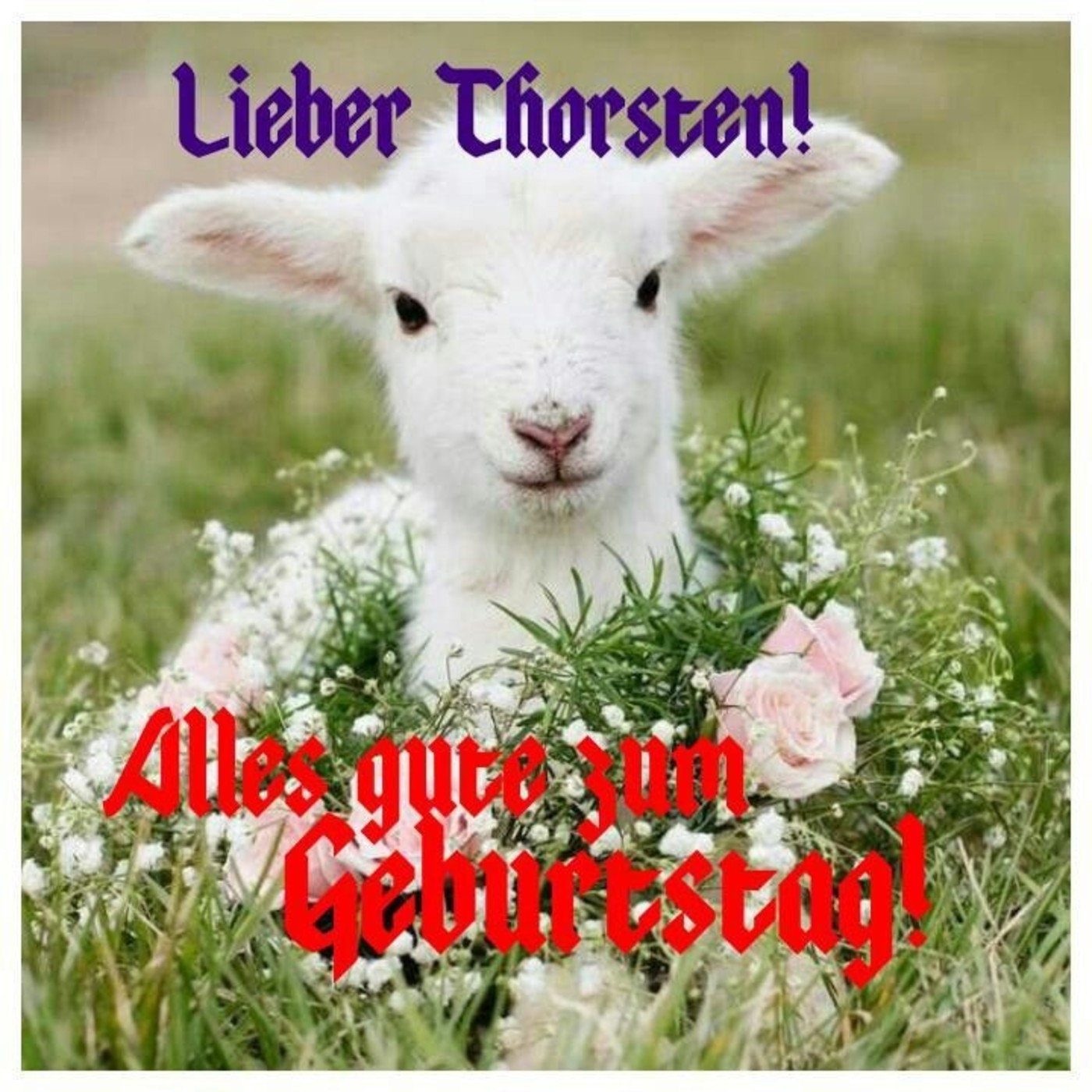 Lieber Thorsten Alles Gute zum Geburtstag