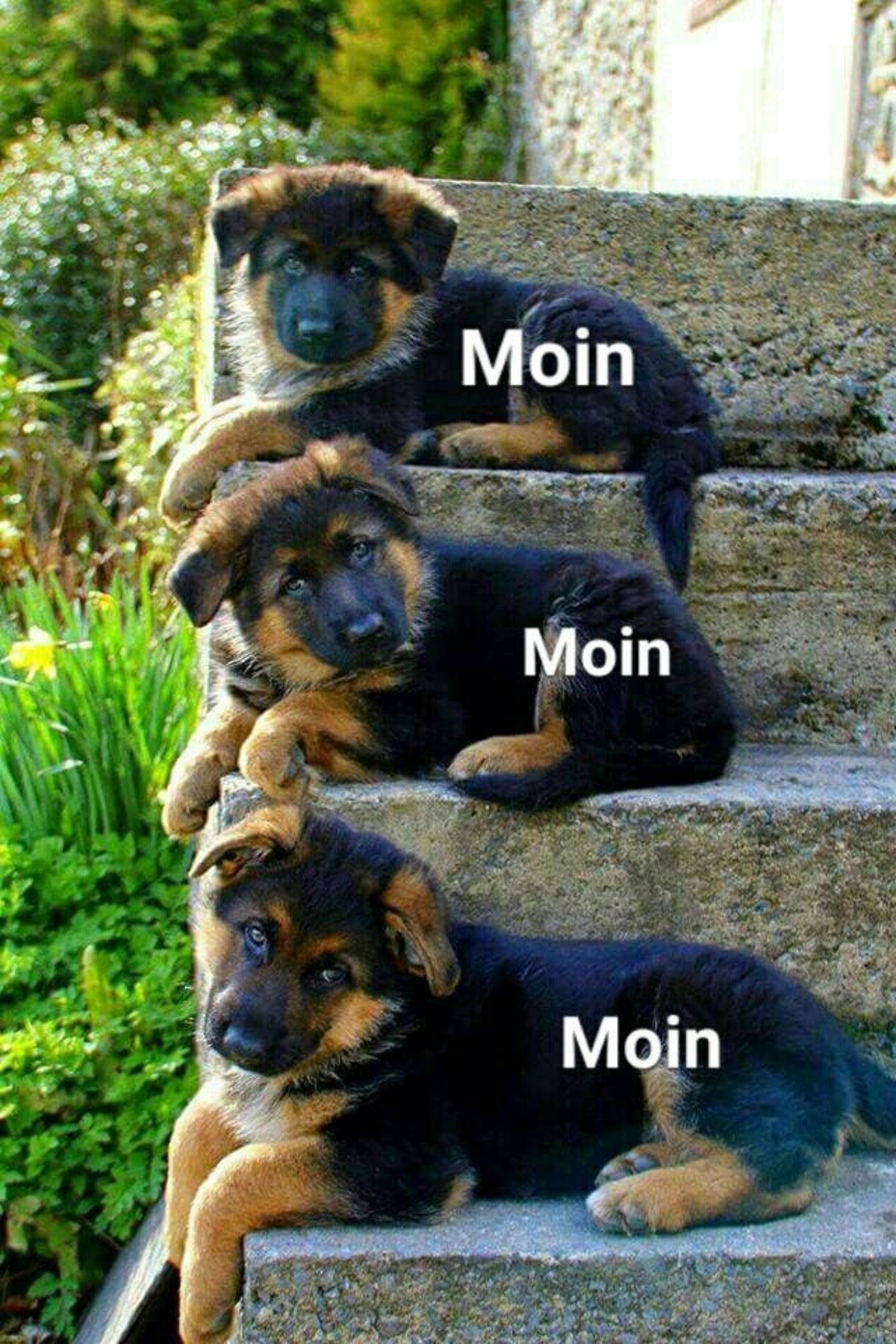 Moin moin moin 44