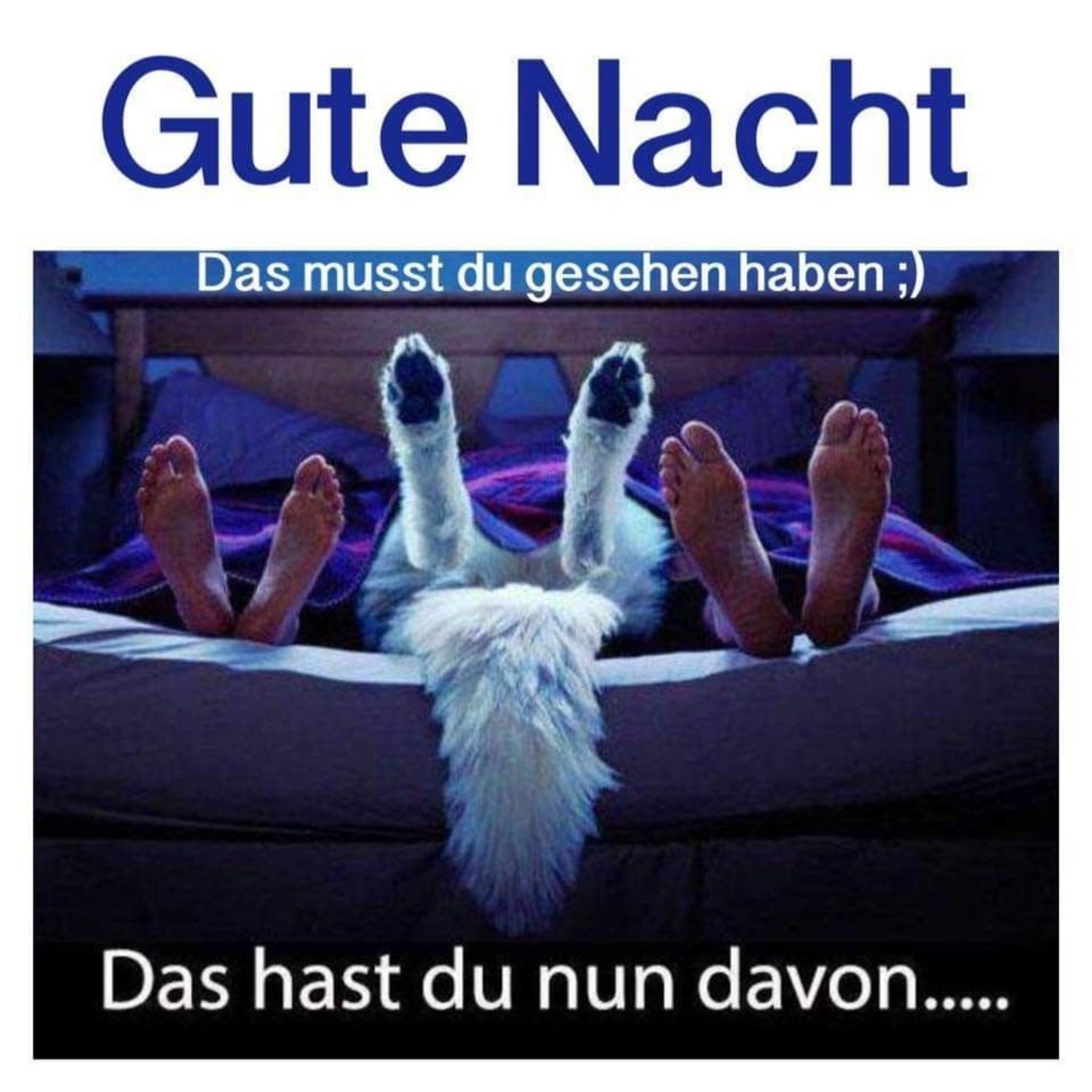 Schlaf Schön bilder und sprüche