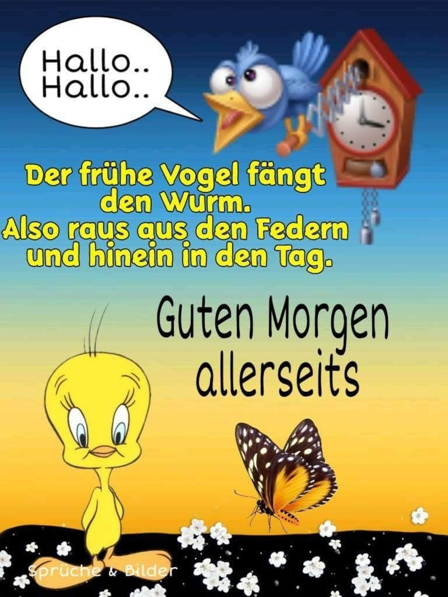 Schönen Tag bilder whatsapp 71