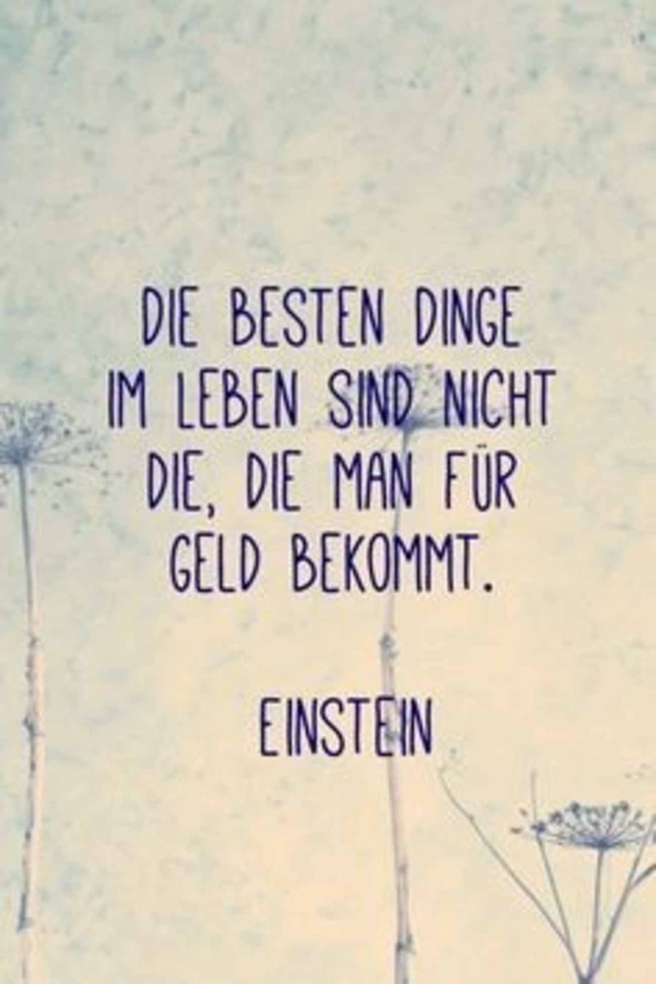 Sprüche Einstein 19