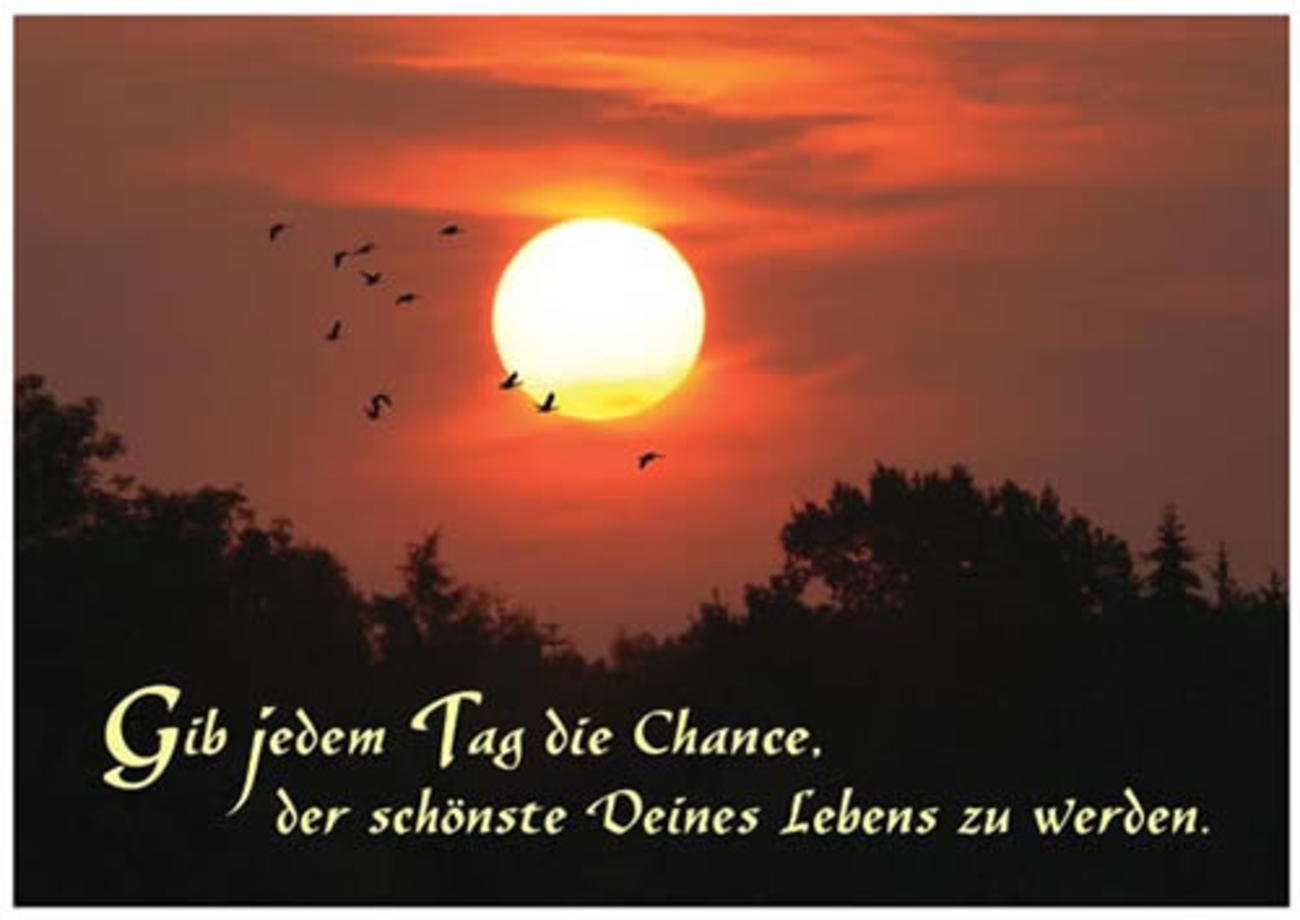 Sprüche Facebook 146