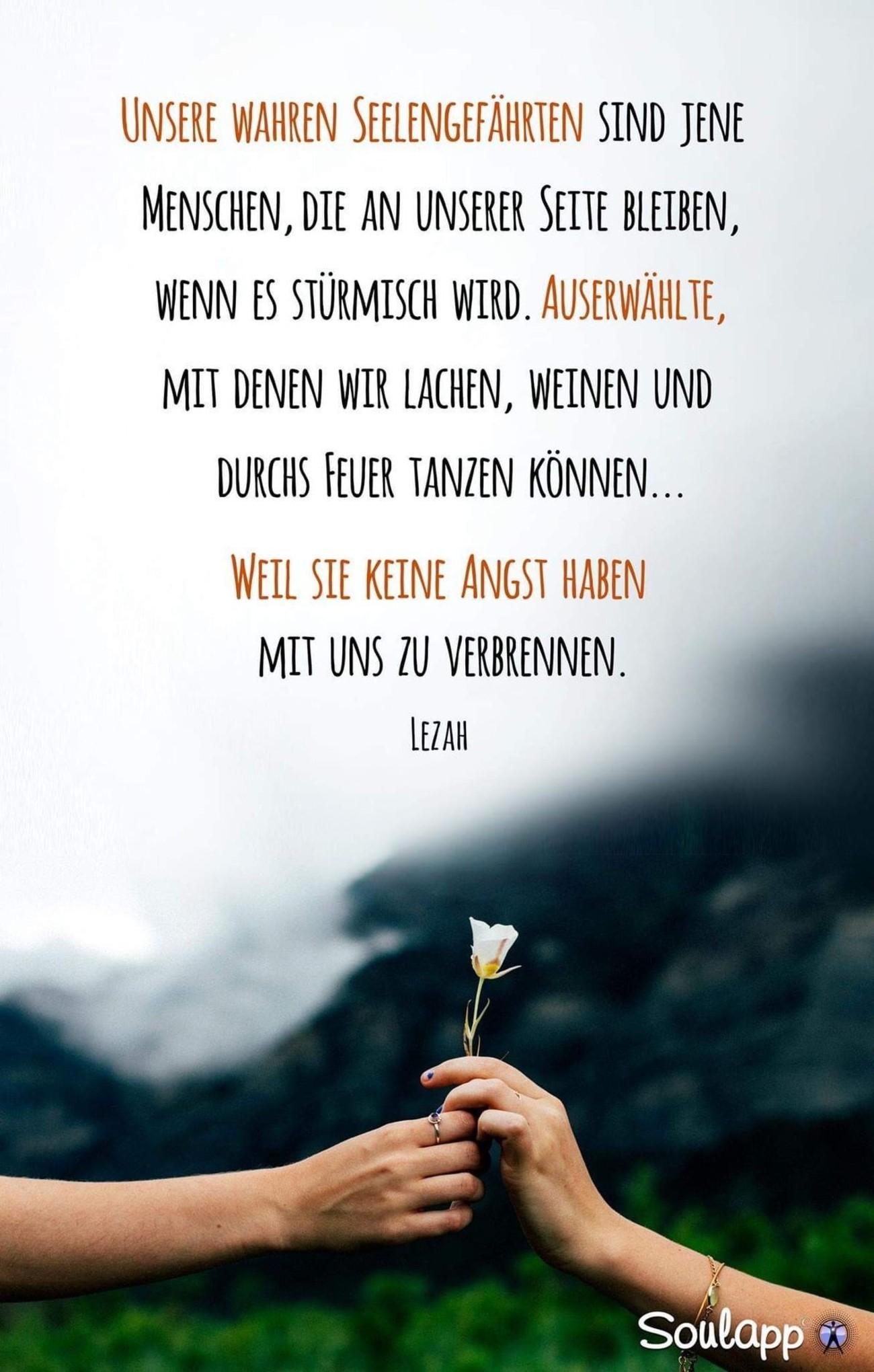 Sprüche Google 151