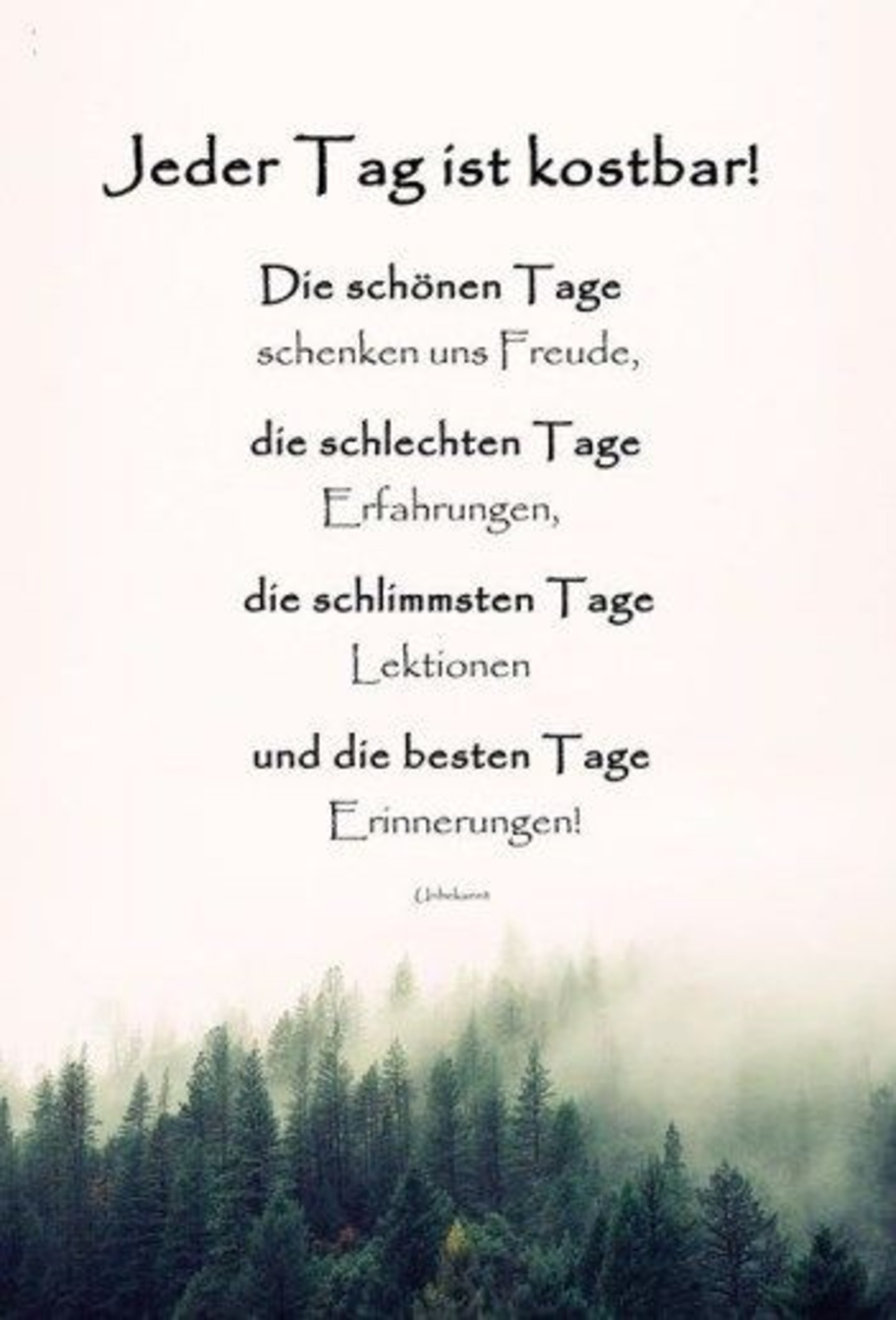 Sprüche Pinterest 13