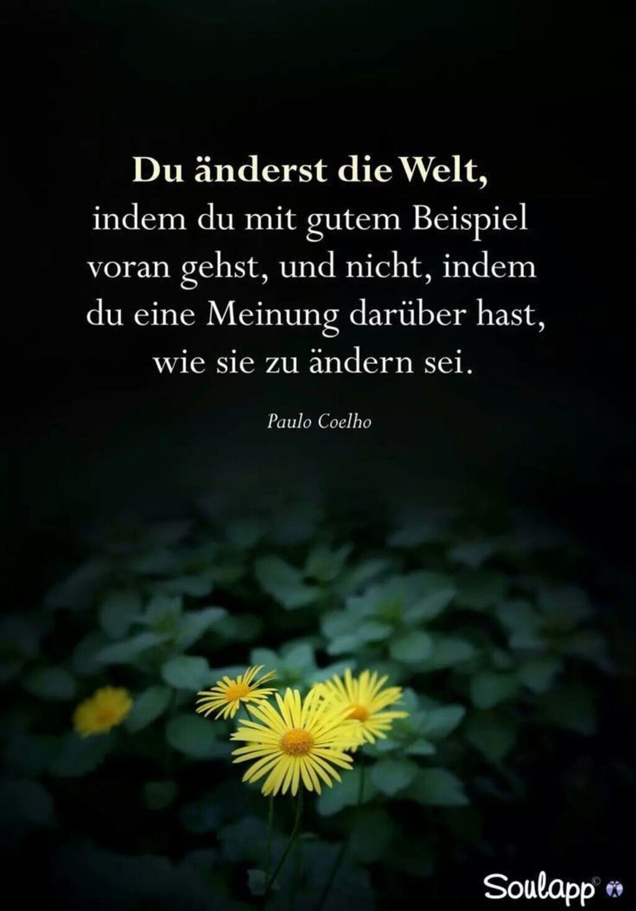 Sprüche WhatsApp 165