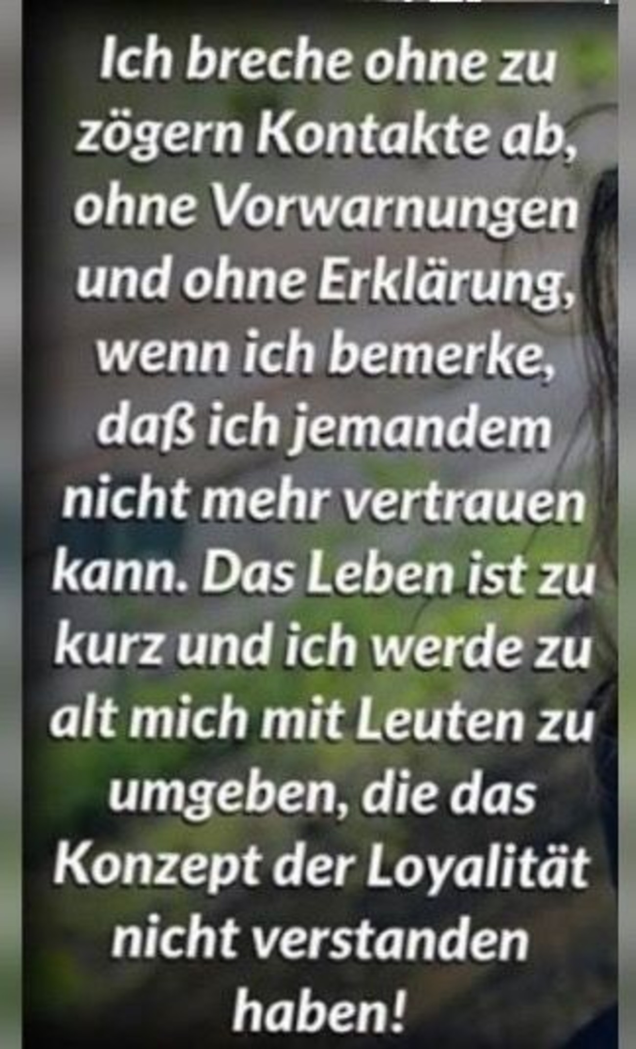 Sprüche bilder 239