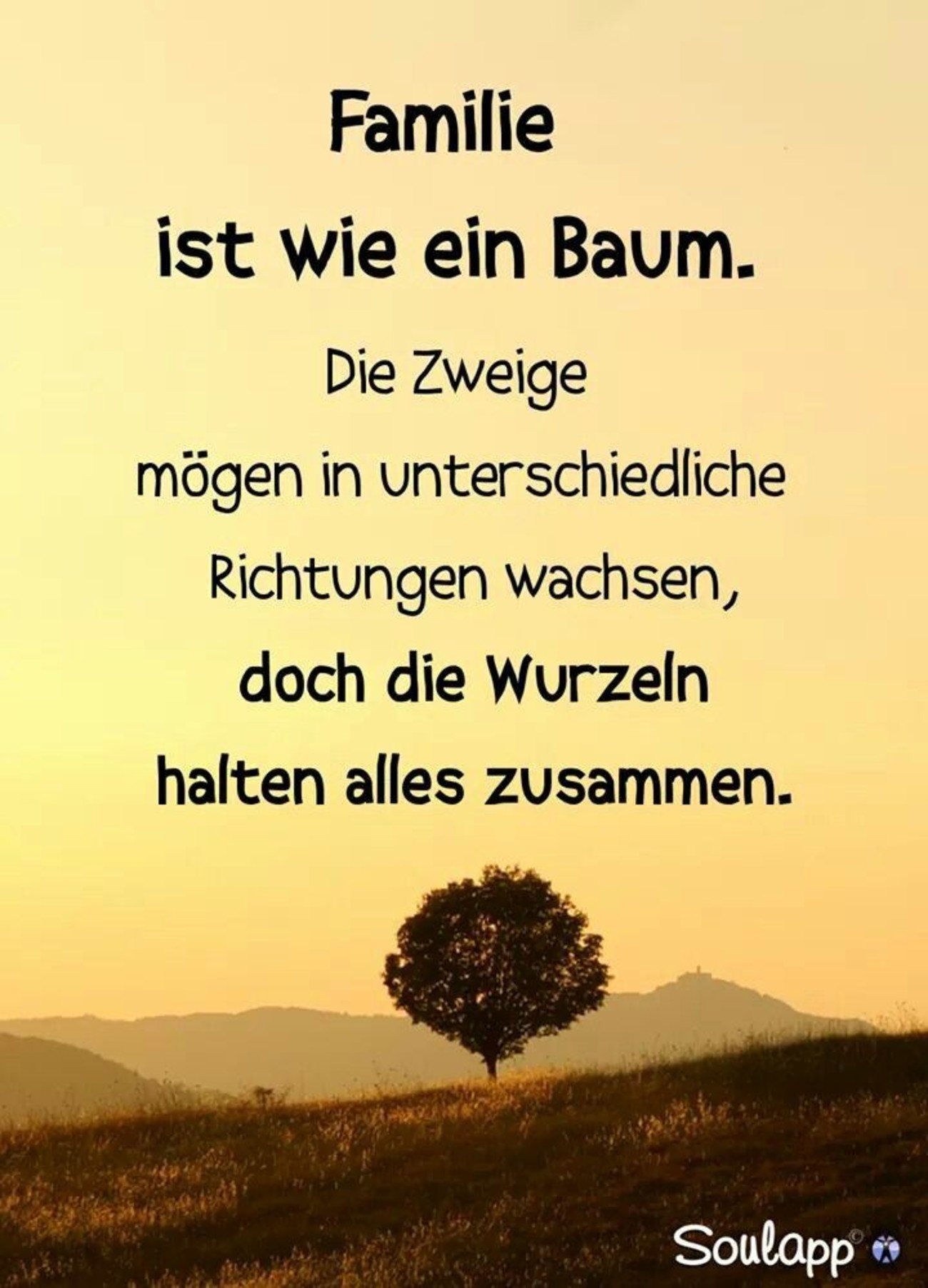 Sprüche familie 106