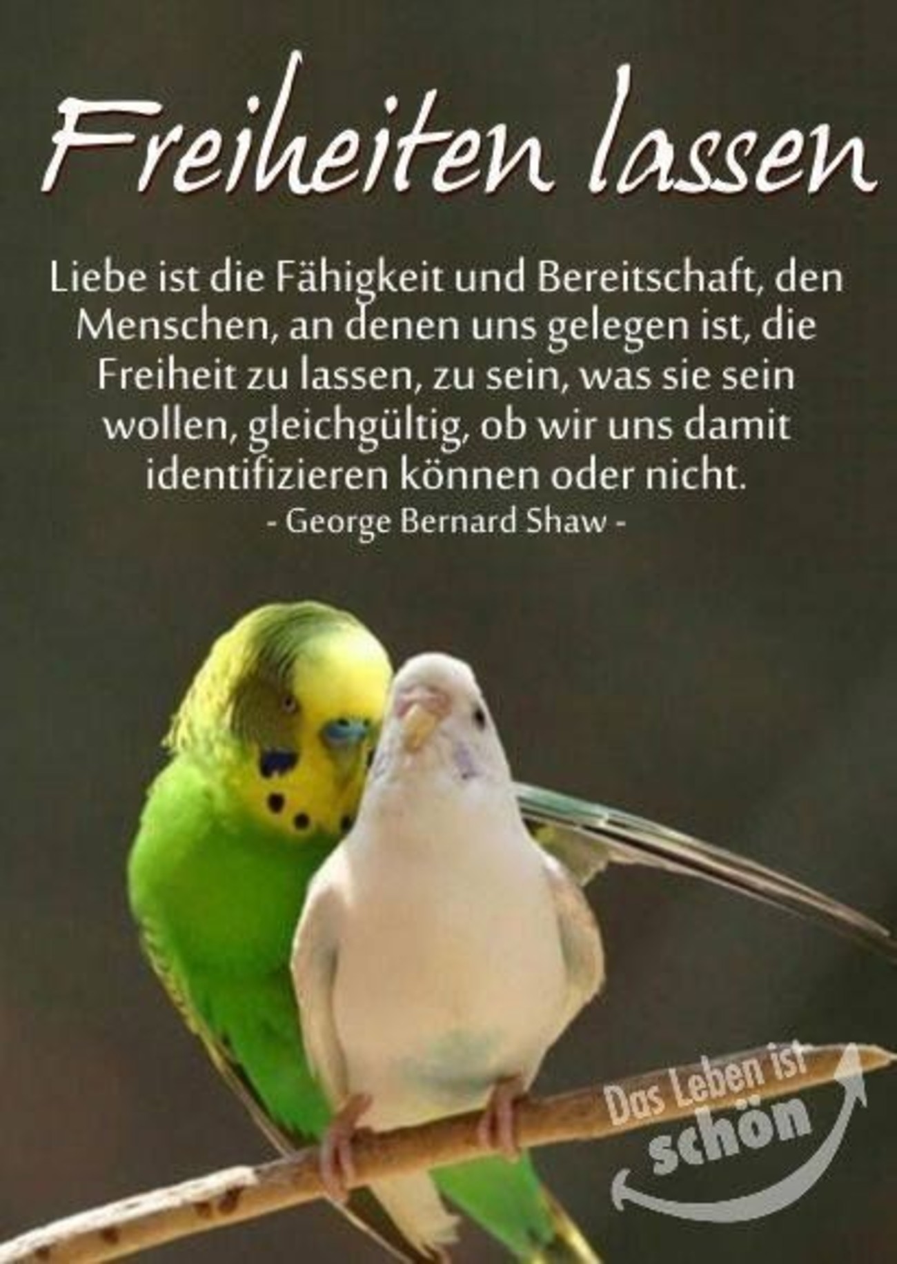 Sprüche freiheiten 355