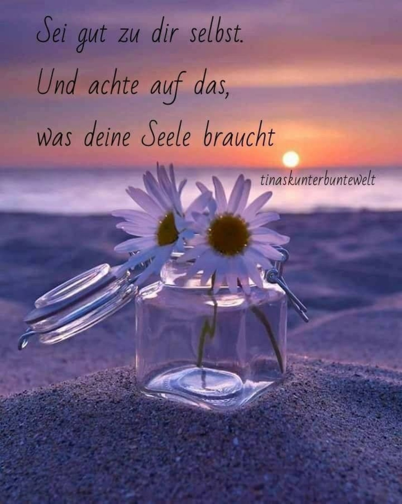 Sprüche für whatsapp status