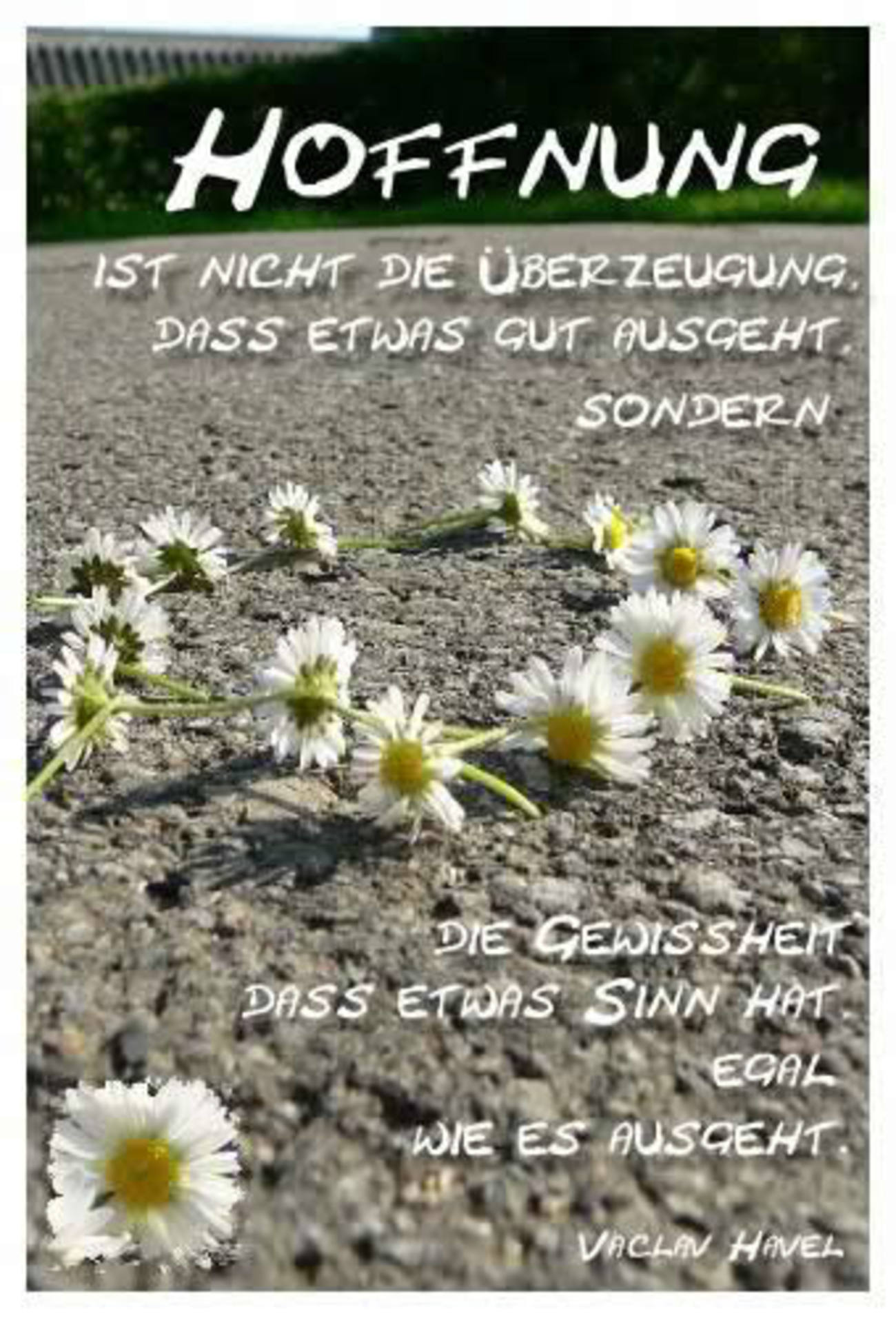 Sprüche hoffnung bilder WhatsApp 308