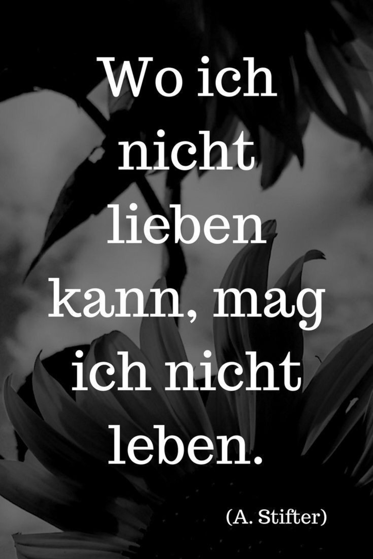 Sprüche leben 218