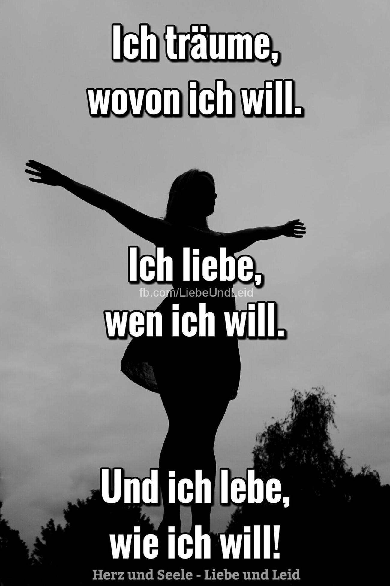 Sprüche quotes 52