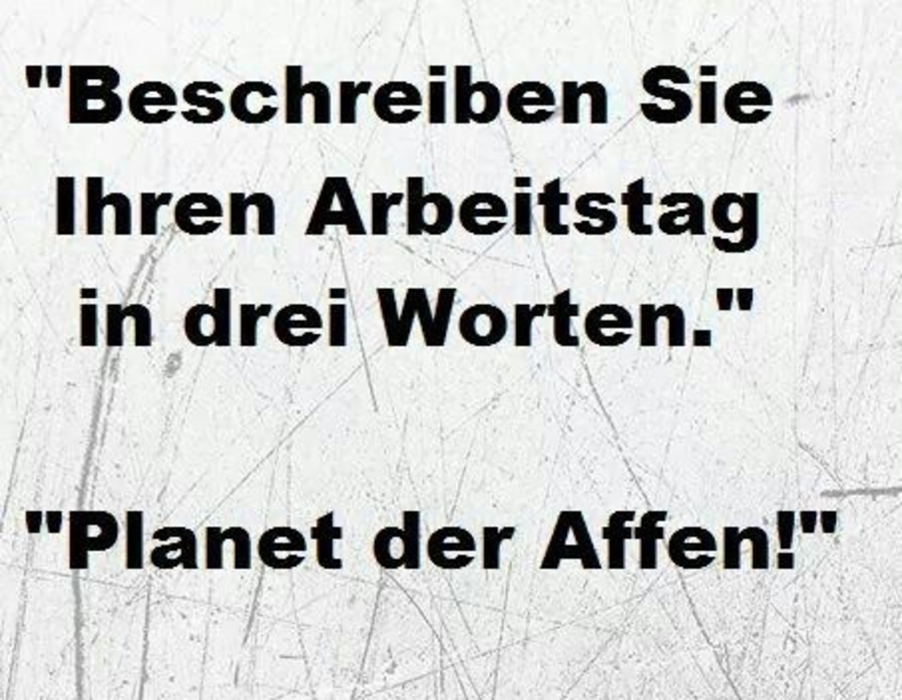 Sprüche quotes 53