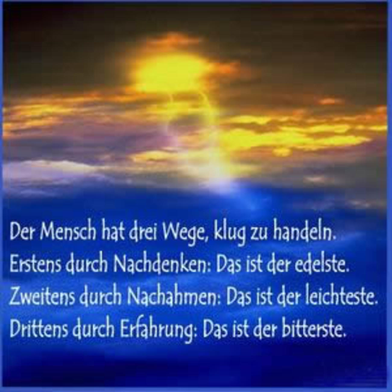 Sprüche quotes 57