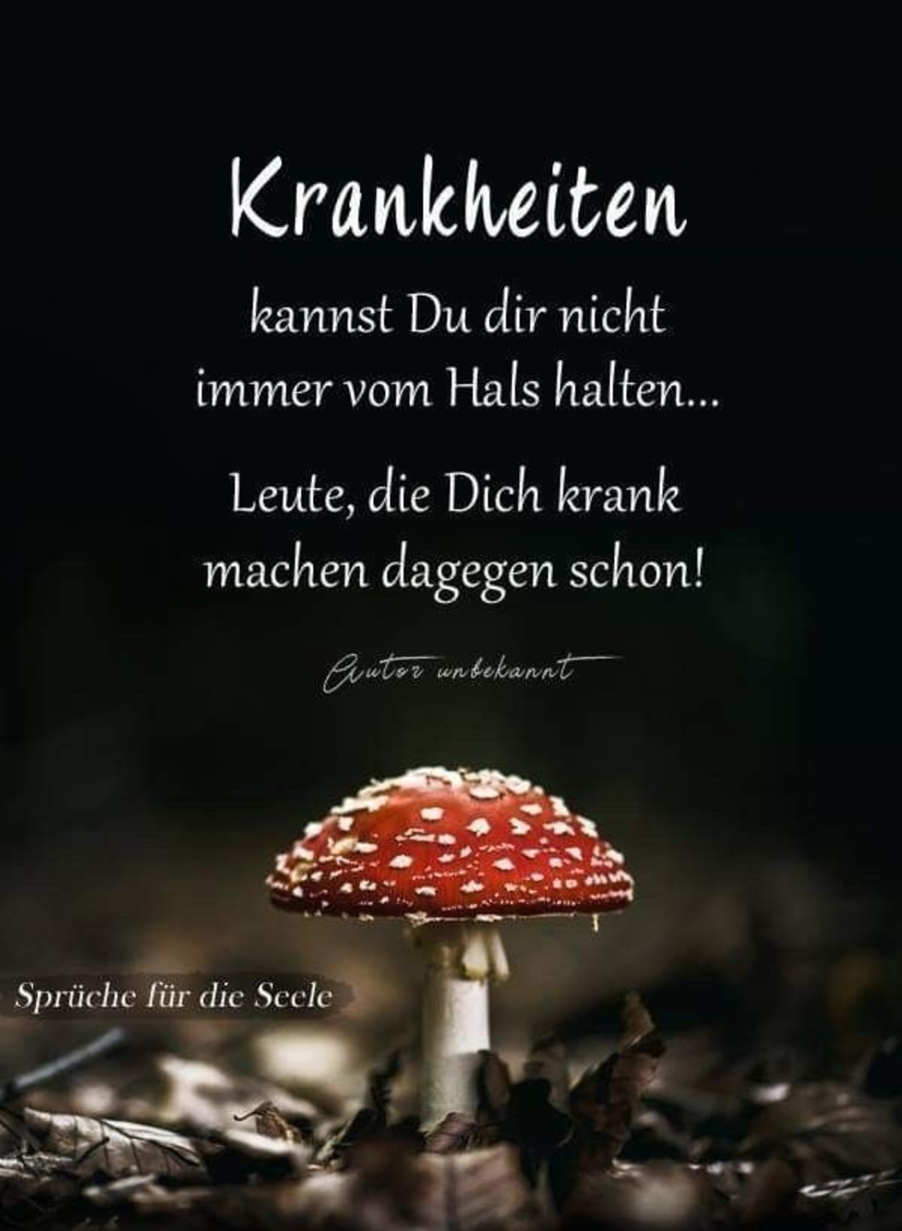 Sprüche quotes 59