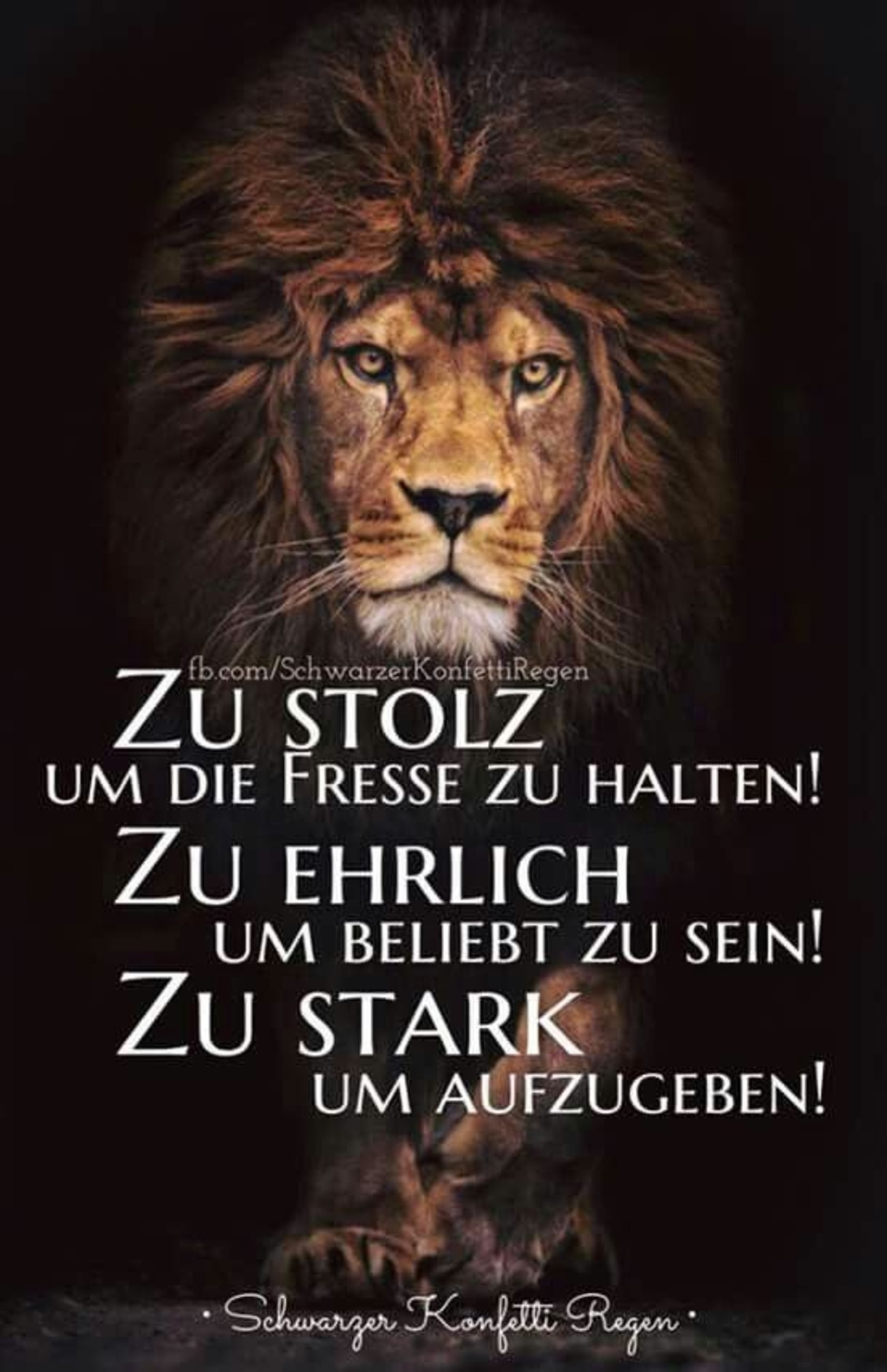 Sprüche und bilder 61