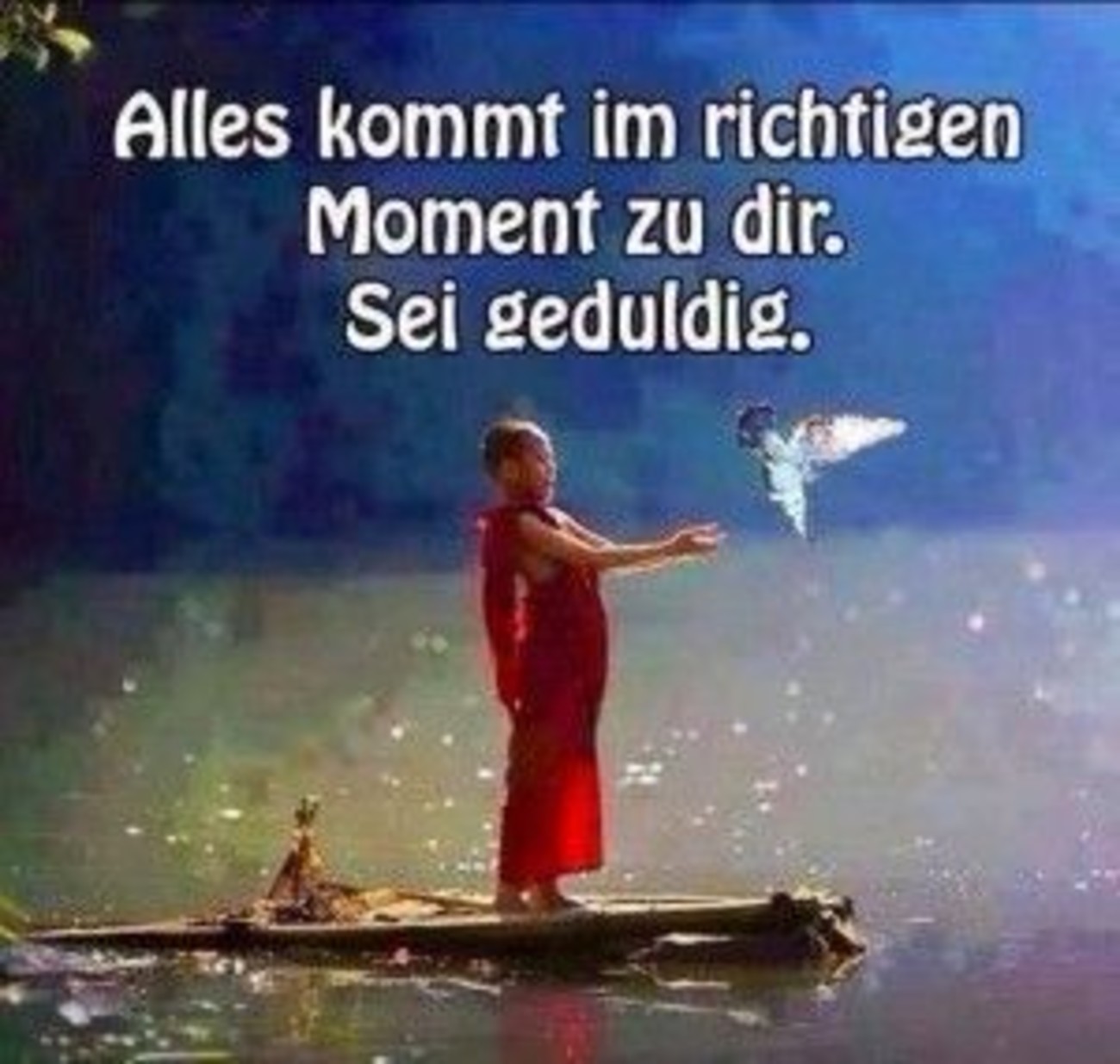 Sprüche und bilder 68