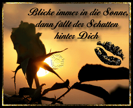 Sprüche über das leben 42