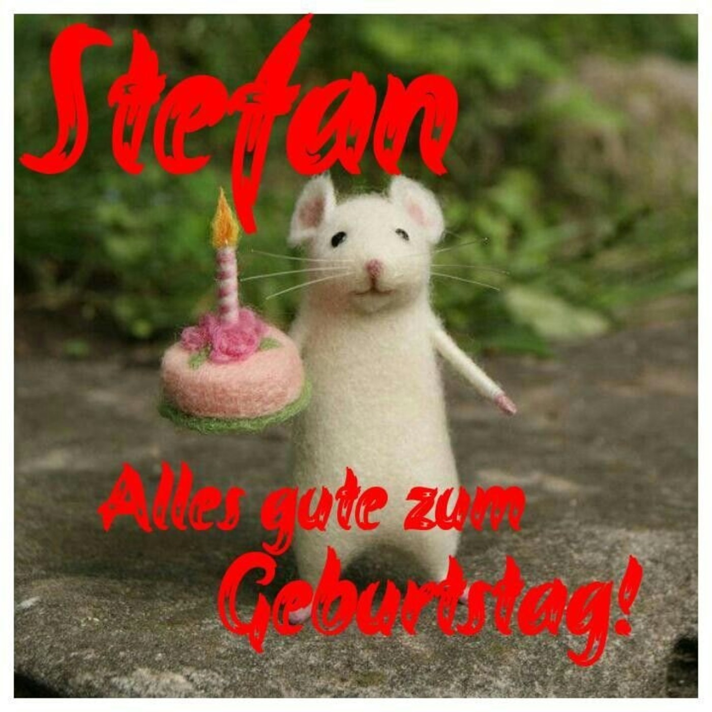 Stefan Alles Gute zum Geburtstag