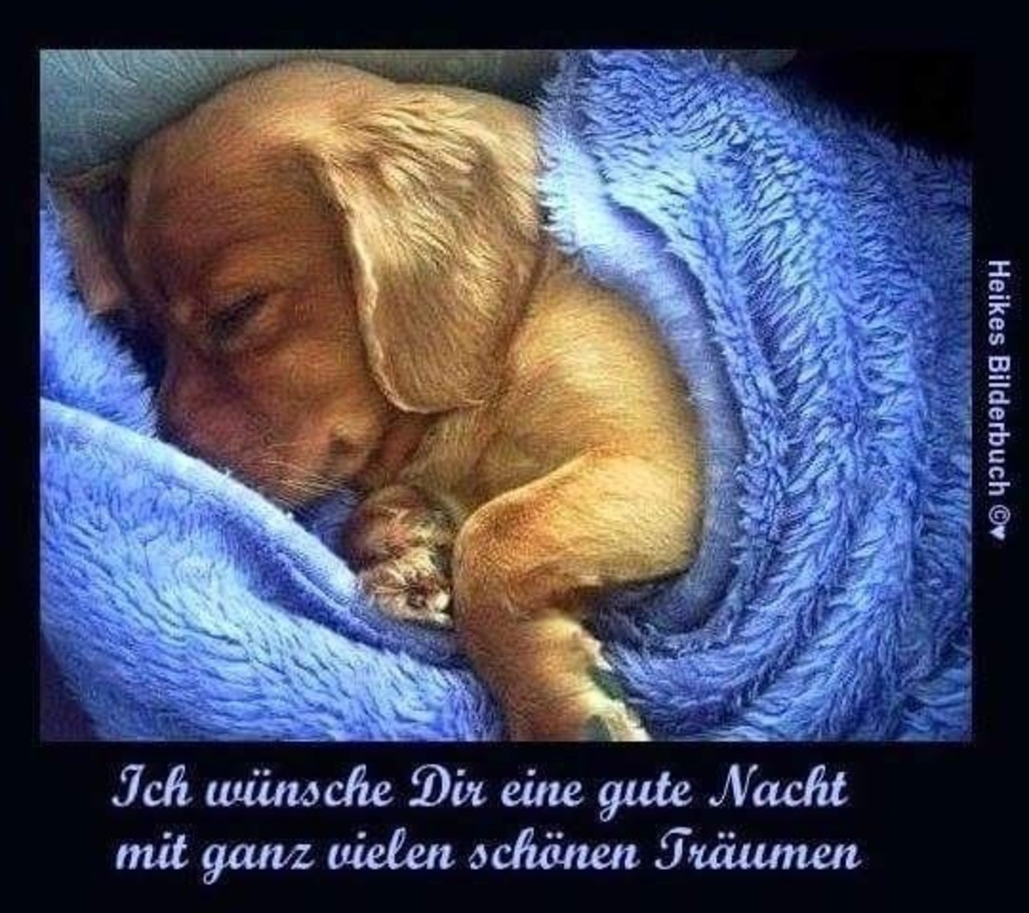 Schönes Bild