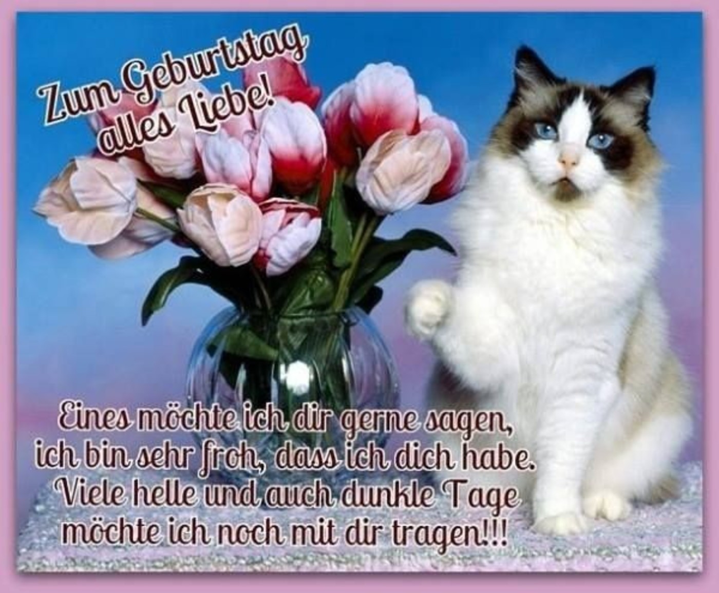 Zum Geburtstag Alles Liebe