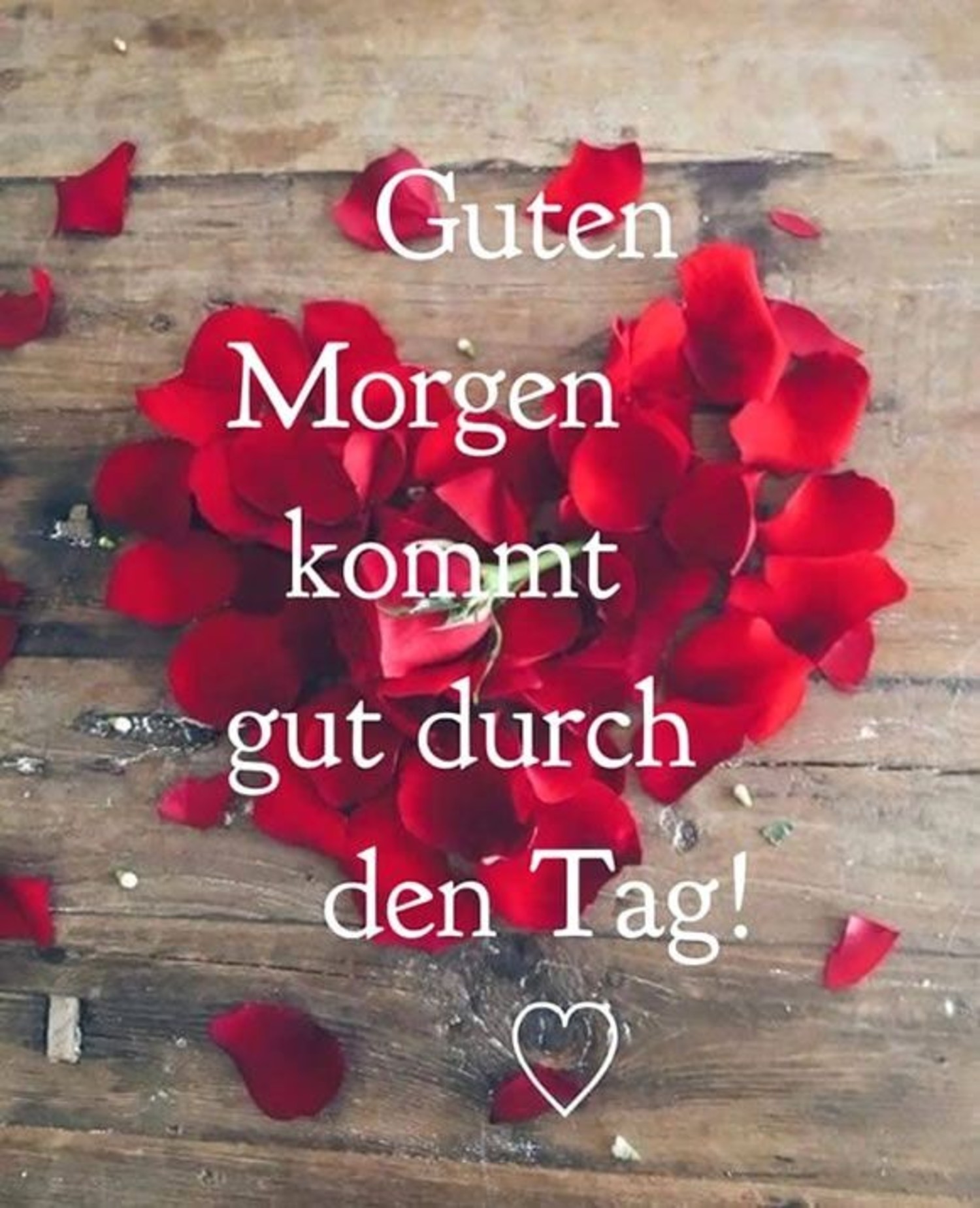 Bilder Google Guten Morgen 813