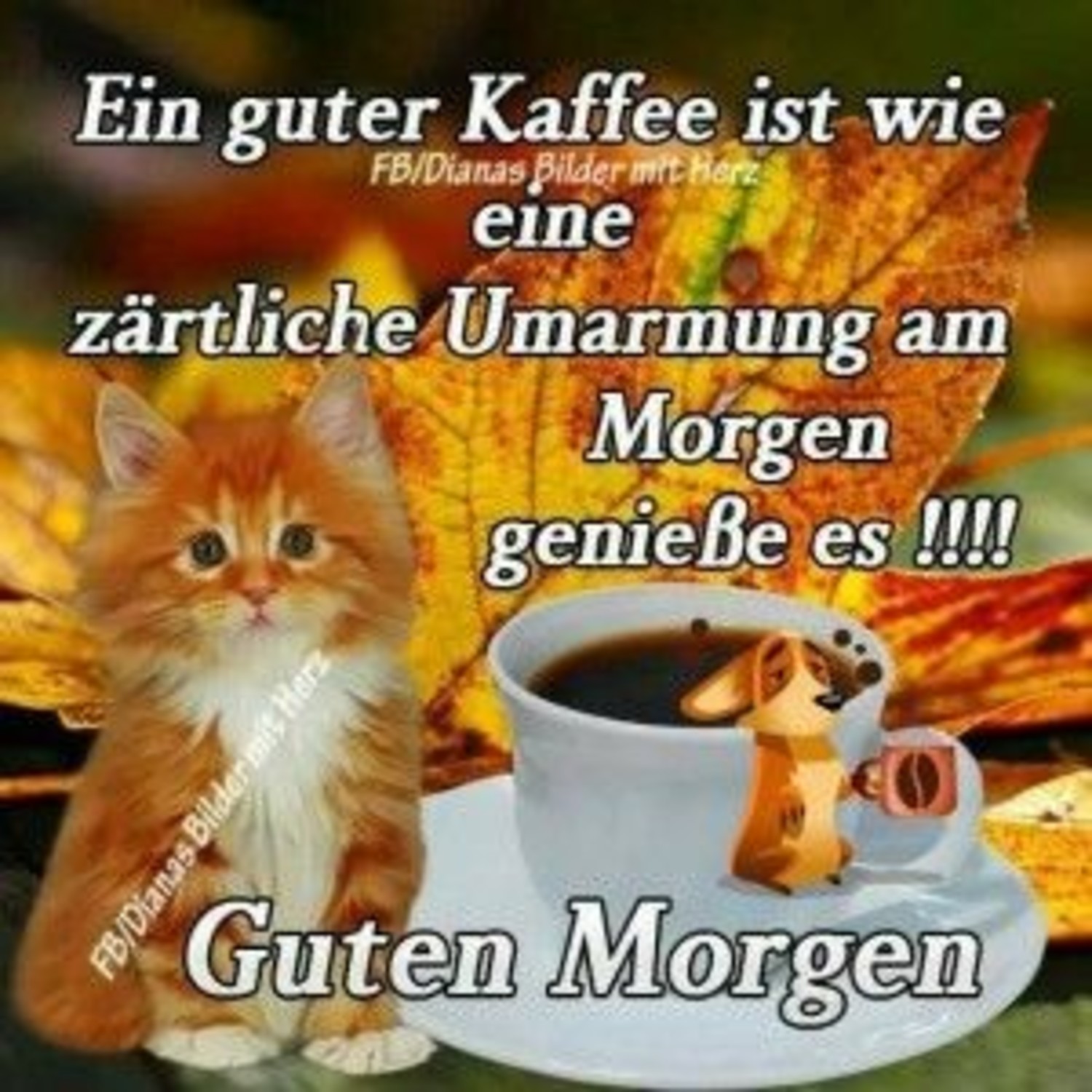 Bilder Google Guten Morgen 819