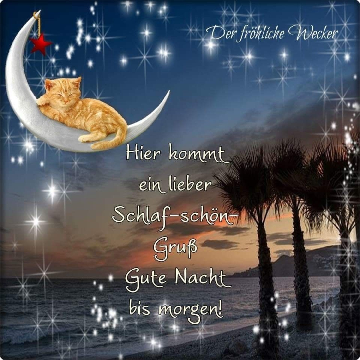 Bilder Gute Nacht freunde 707