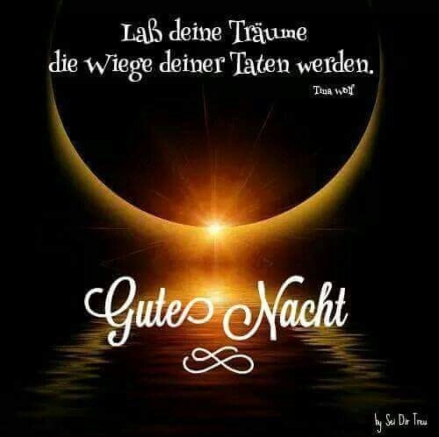 50+ Gute nacht bilder sprueche kostenlos information