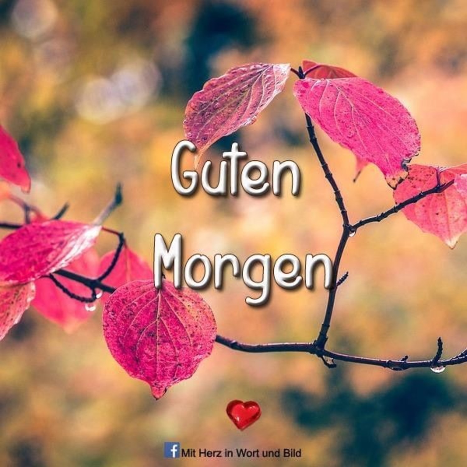 Asa S Guten Morgen Smooty - Rezepte Suchen