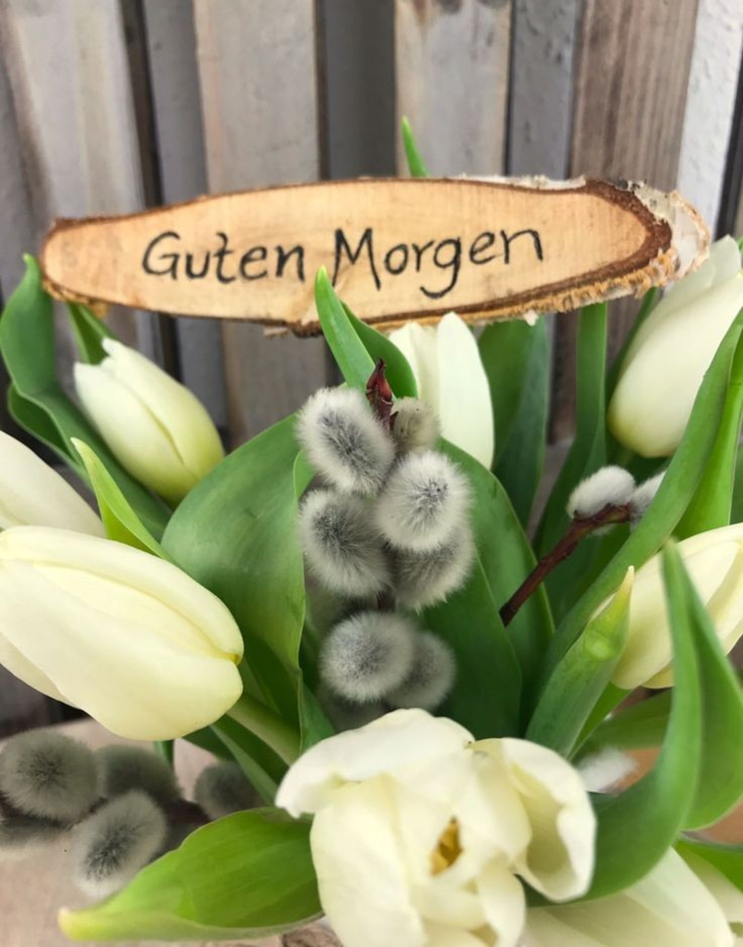 Bilder Guten Morgen bilder 958