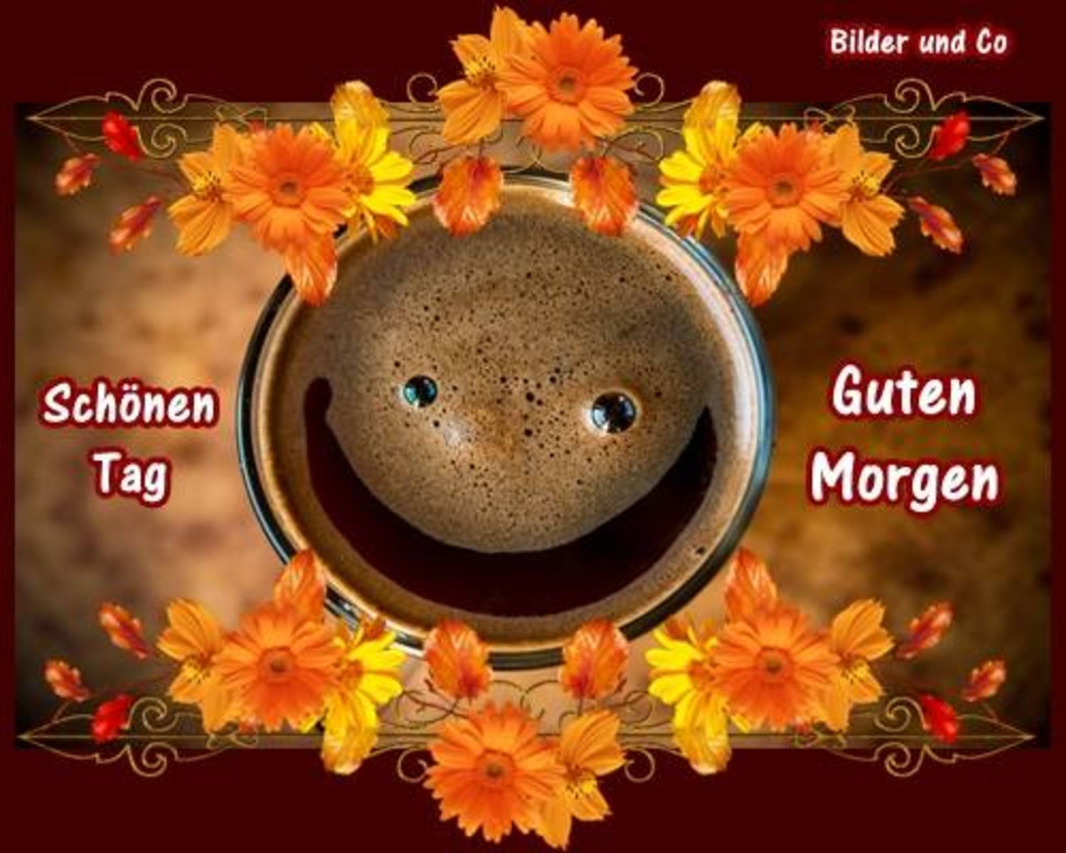 bild guten morgen sonnenschein
