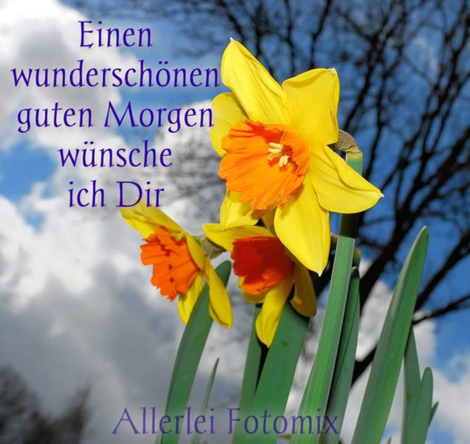 Bilder WhatsApp Guten Morgen 774