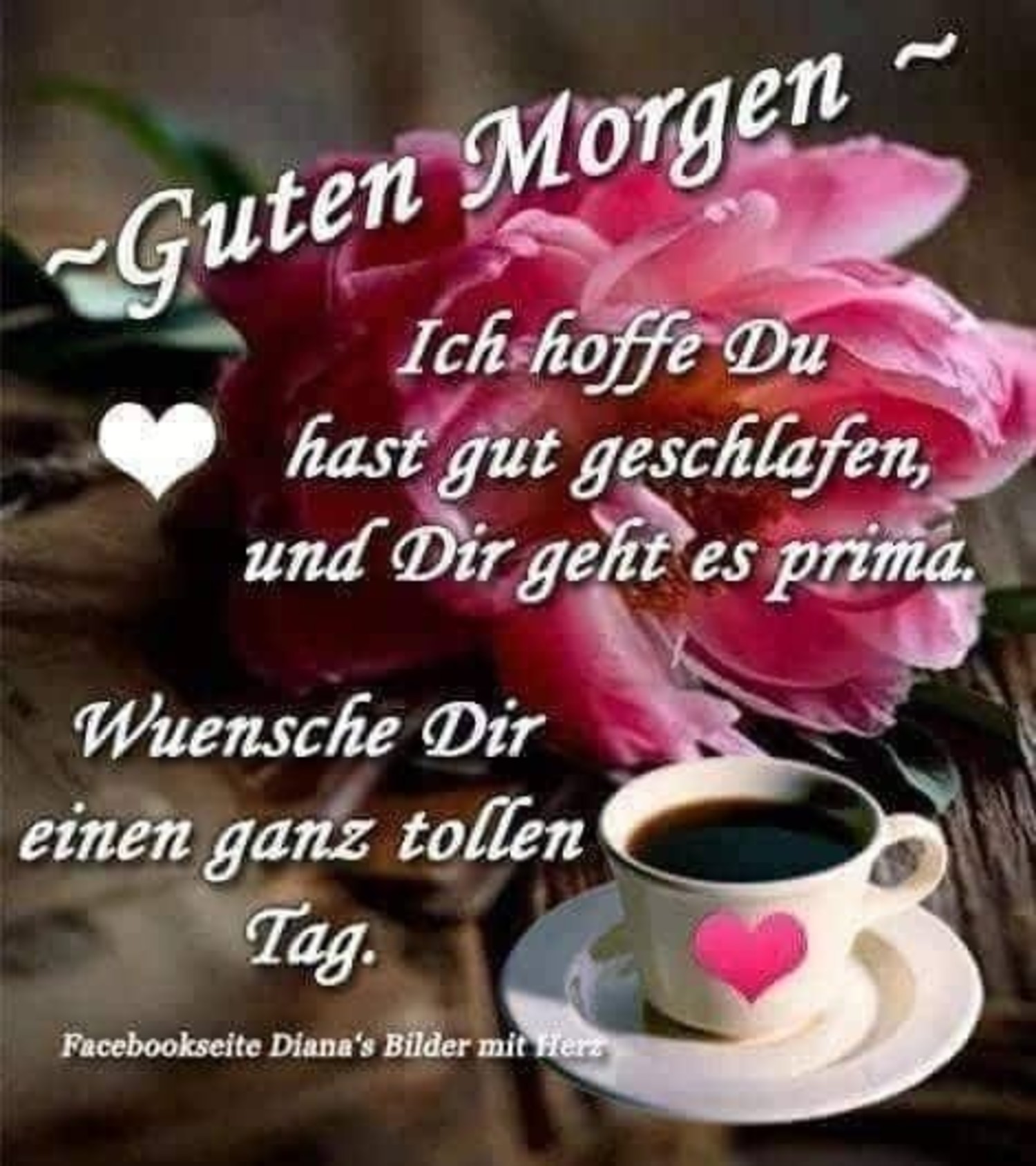 Bilder kostenlos Guten Morgen Frühling 935