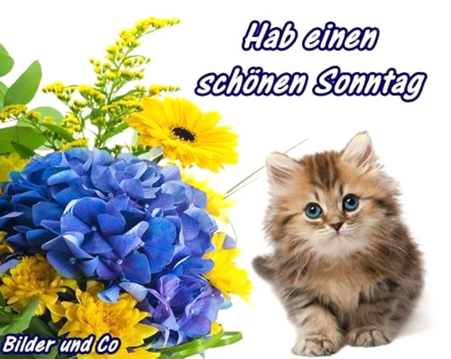 Bilder Kostenlos Schonen Sonntag Gbpicsbilder Com