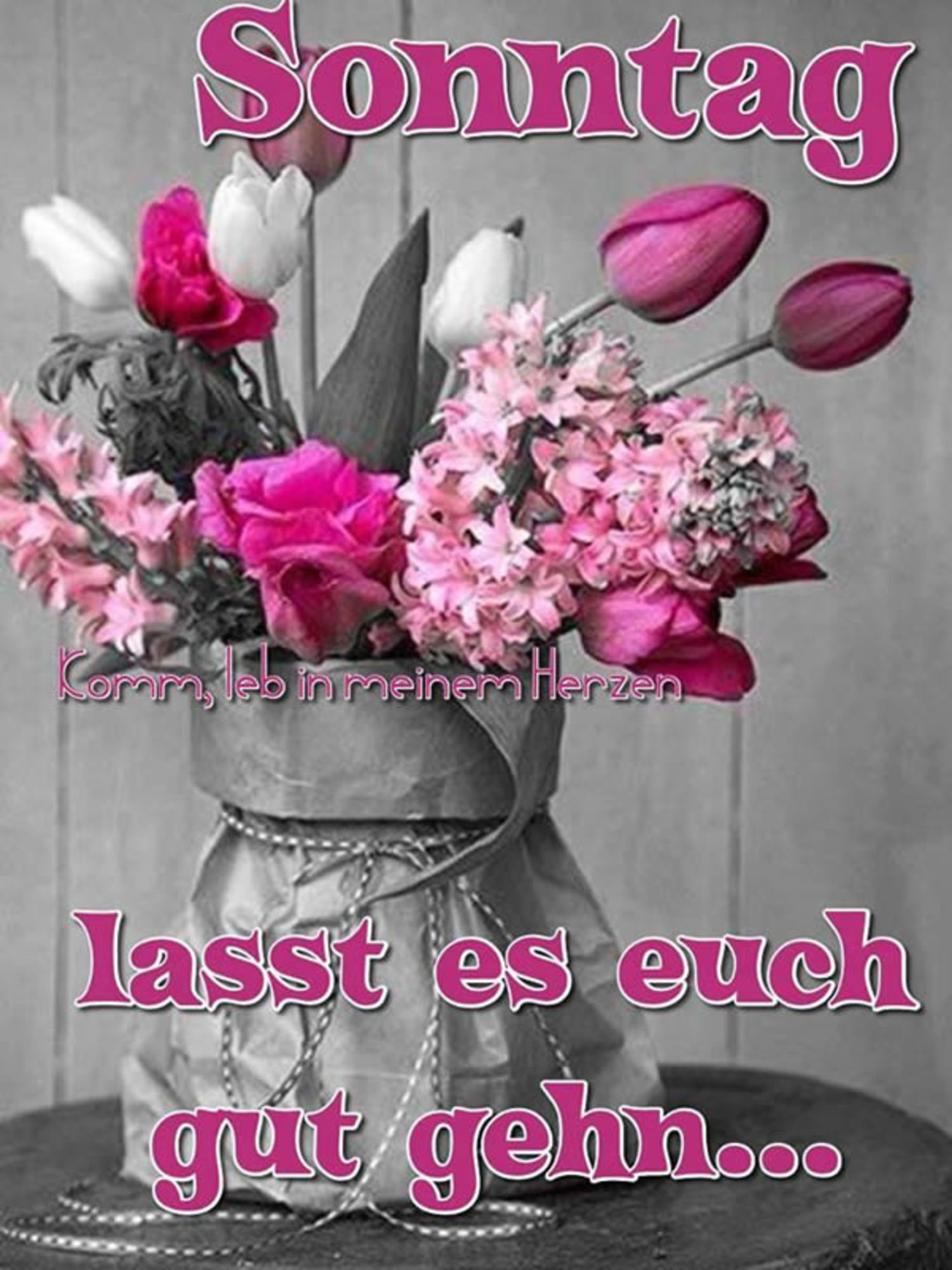 Bilder kostenlos Schönen Sonntag 160
