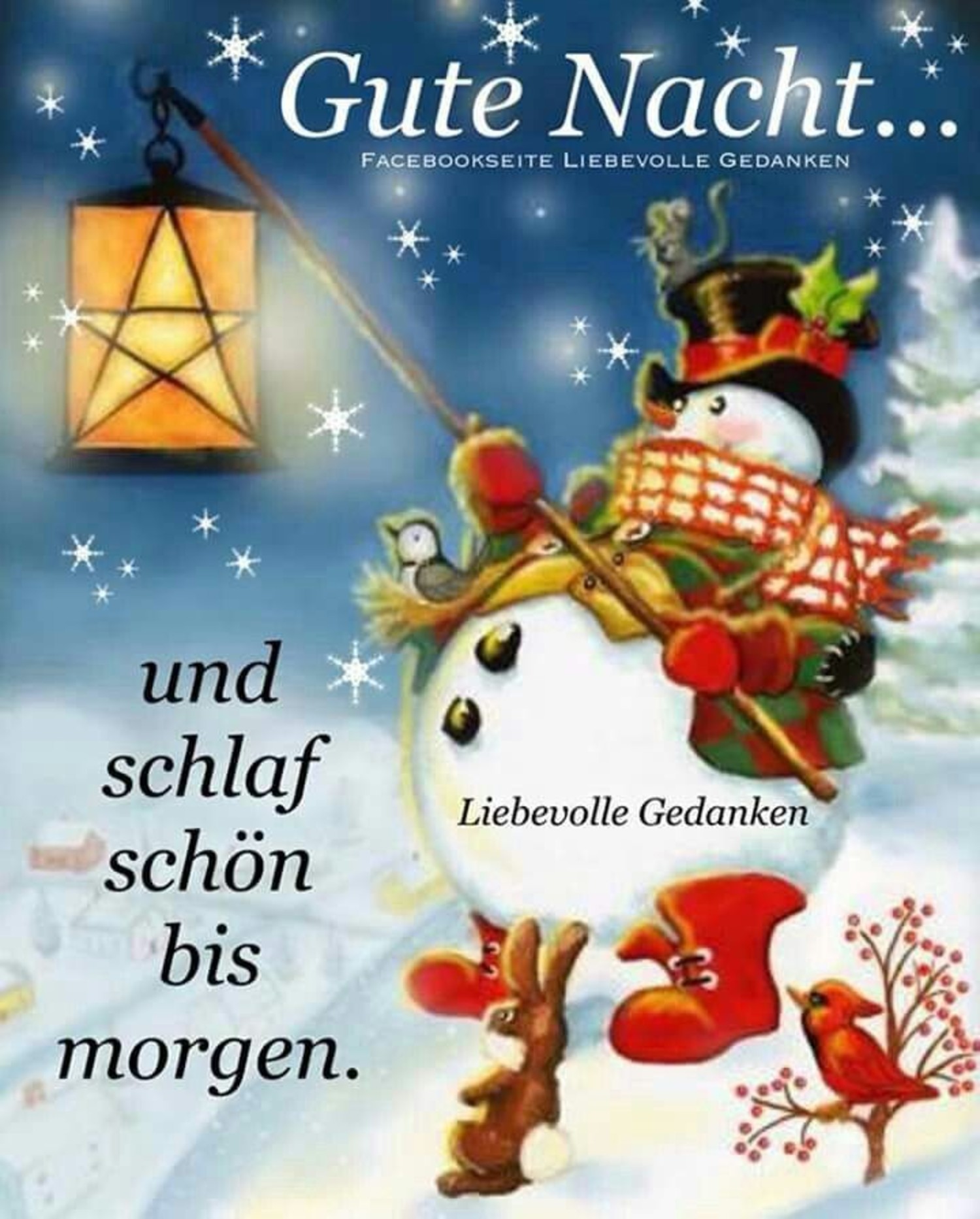 Bilder und Sprüche Gute Nacht Weihnachten 855