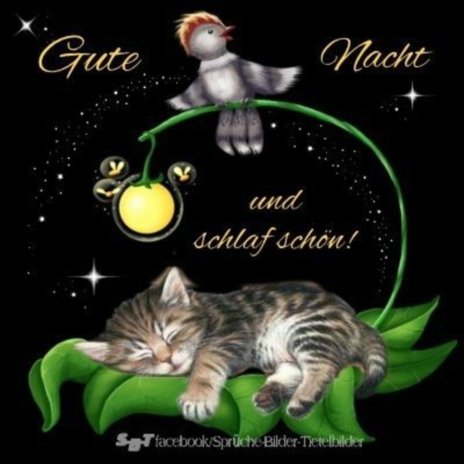 Bis Morgen gb pics Gute Nacht Pinterest 664