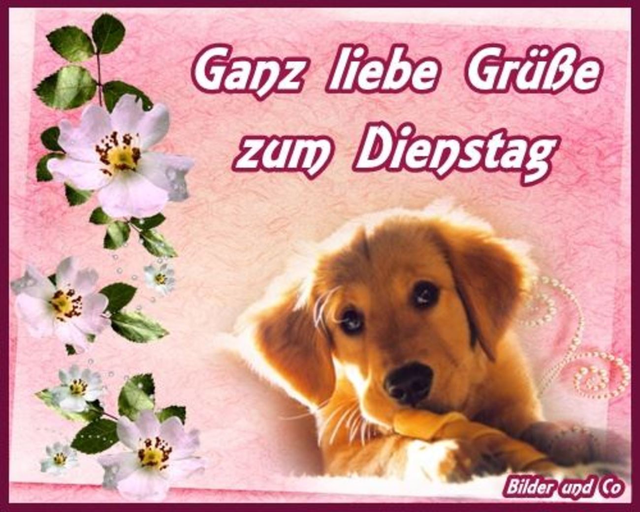Dienstagmorgen 238 Gbpicsbilder Com
