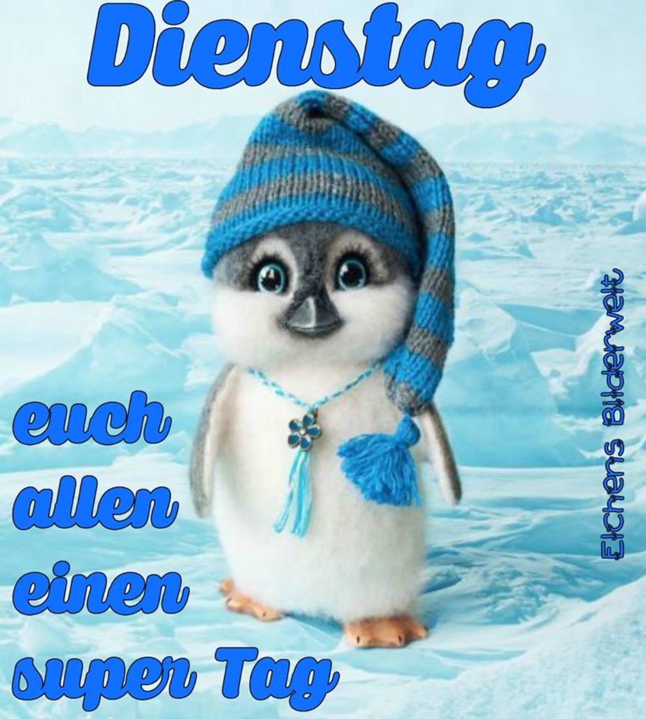 dienstagsgrüße bilder