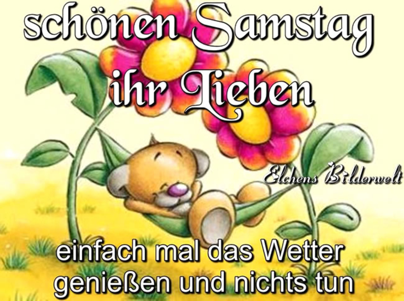 Einen Schönen Samstag morgen bilder 255