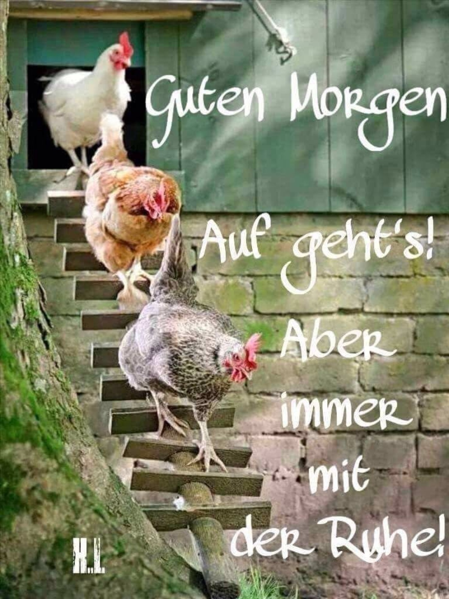 Facebook karten Guten Morgen 665