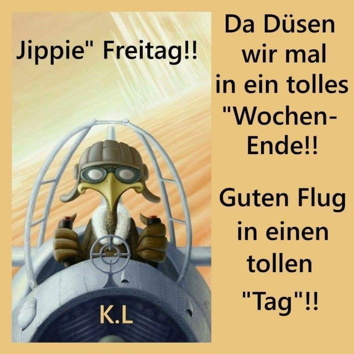 Freitag 100