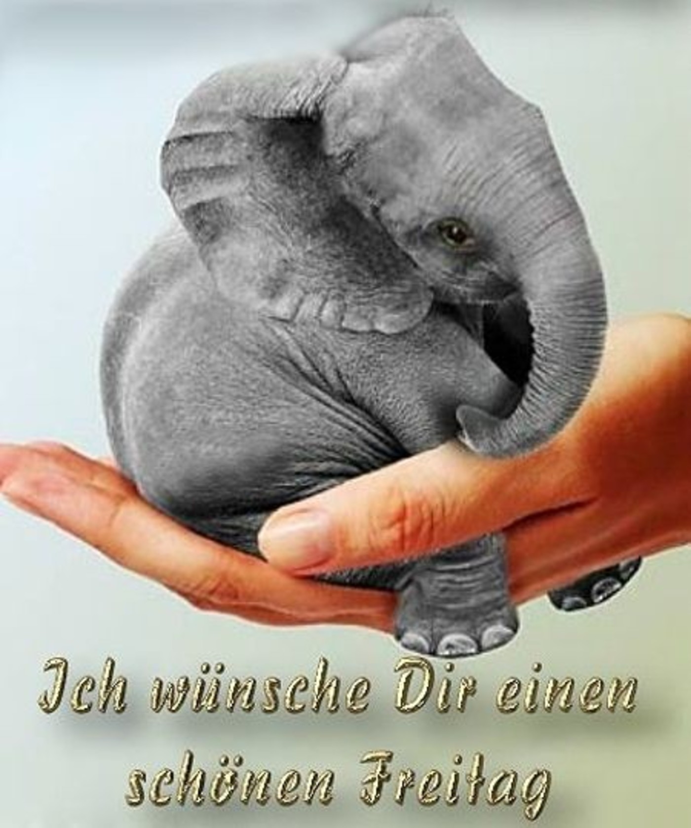Freitag ist Freutag 251